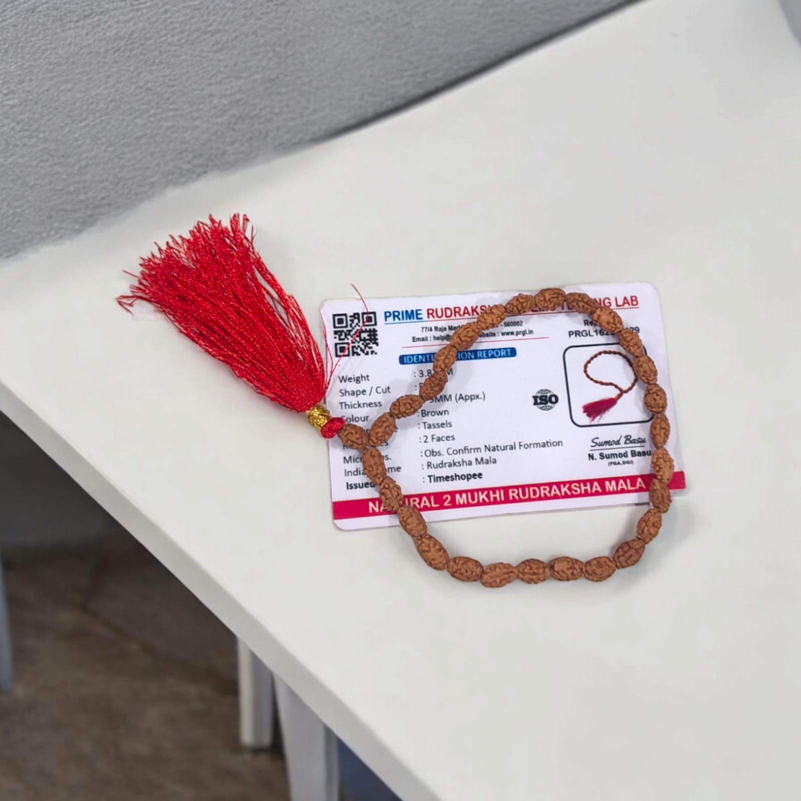 Image showing a hand-crafted 2 Mukhi Rudraksha Mala in 108+1 bead variant, lab certified and neatly arranged on a traditional cloth background with Timeshopee tag.