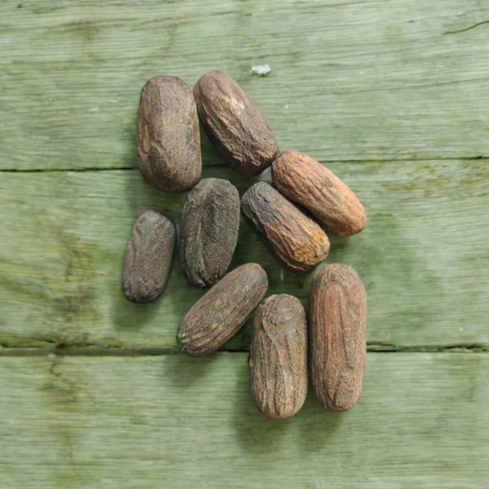 Jaiphal Purvi (whole nutmeg) pack of 2 used for puja, rituals, and Havan, sourced fresh and natural.