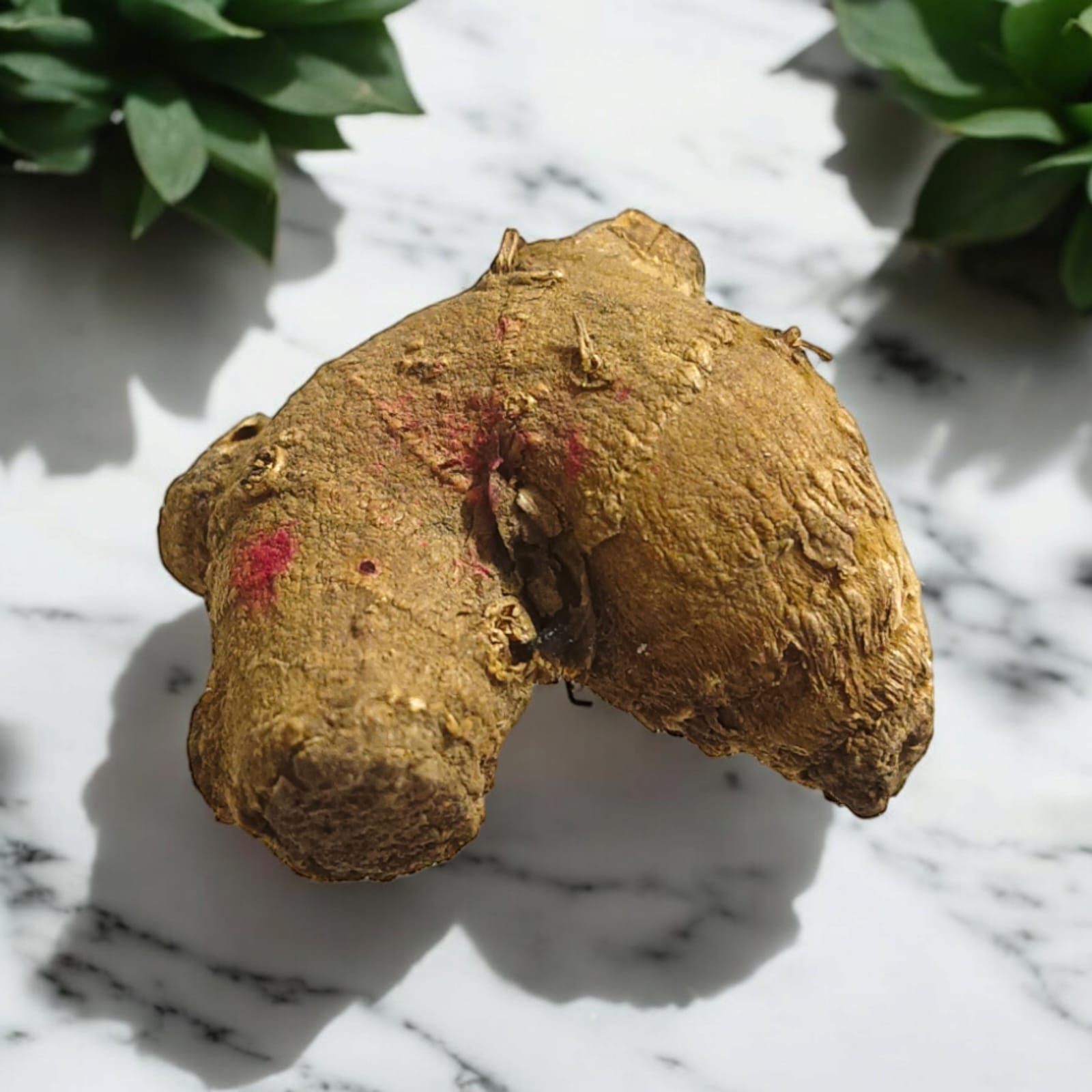 Kaali Haldi Black Turmeric | Spiritual Protection and Health Benefits