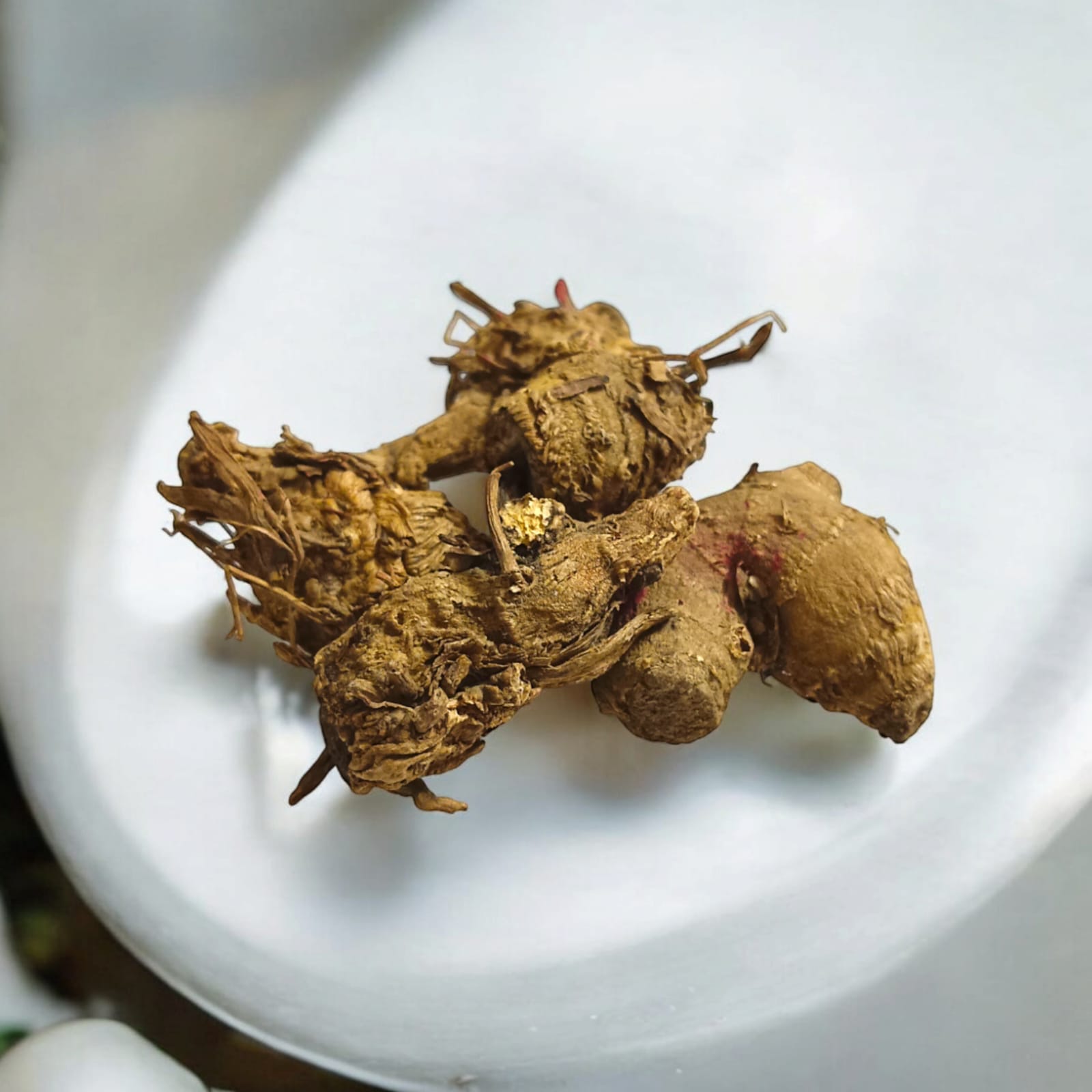 Kaali Haldi Black Turmeric | Spiritual Protection and Health Benefits