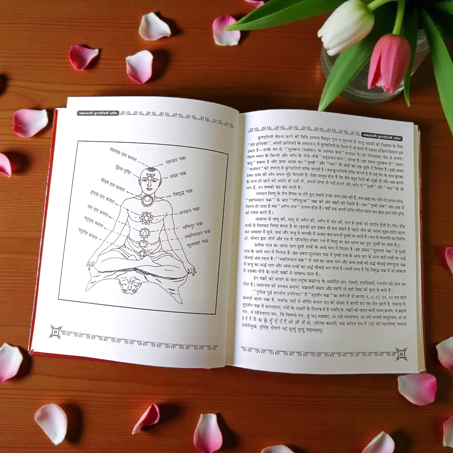 Kundalini Shakti Dhyan Yog Hindi Book - Learn Meditation from Timeshopee