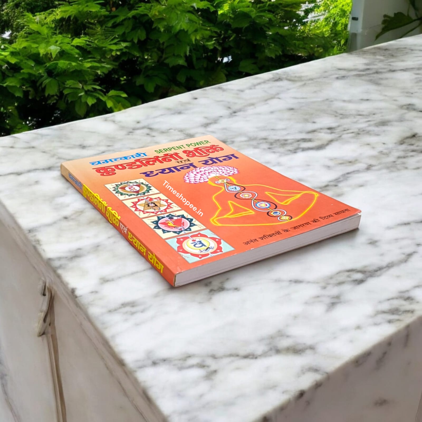 Kundalini Shakti Dhyan Yog Hindi Book - Learn Meditation from Timeshopee