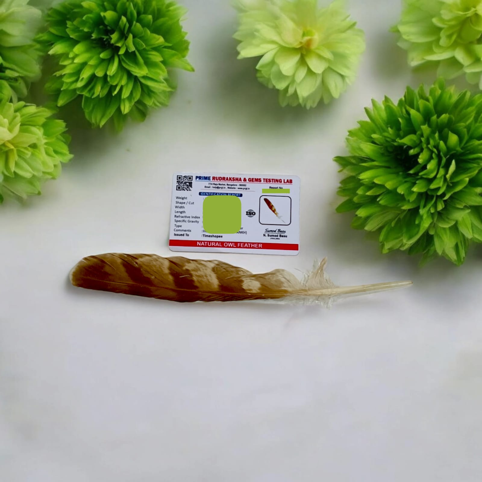 Lab-certified Natural Owl Feather (Ullu Ka Pankh) with unique natural patterns, symbolizing wisdom and protection.