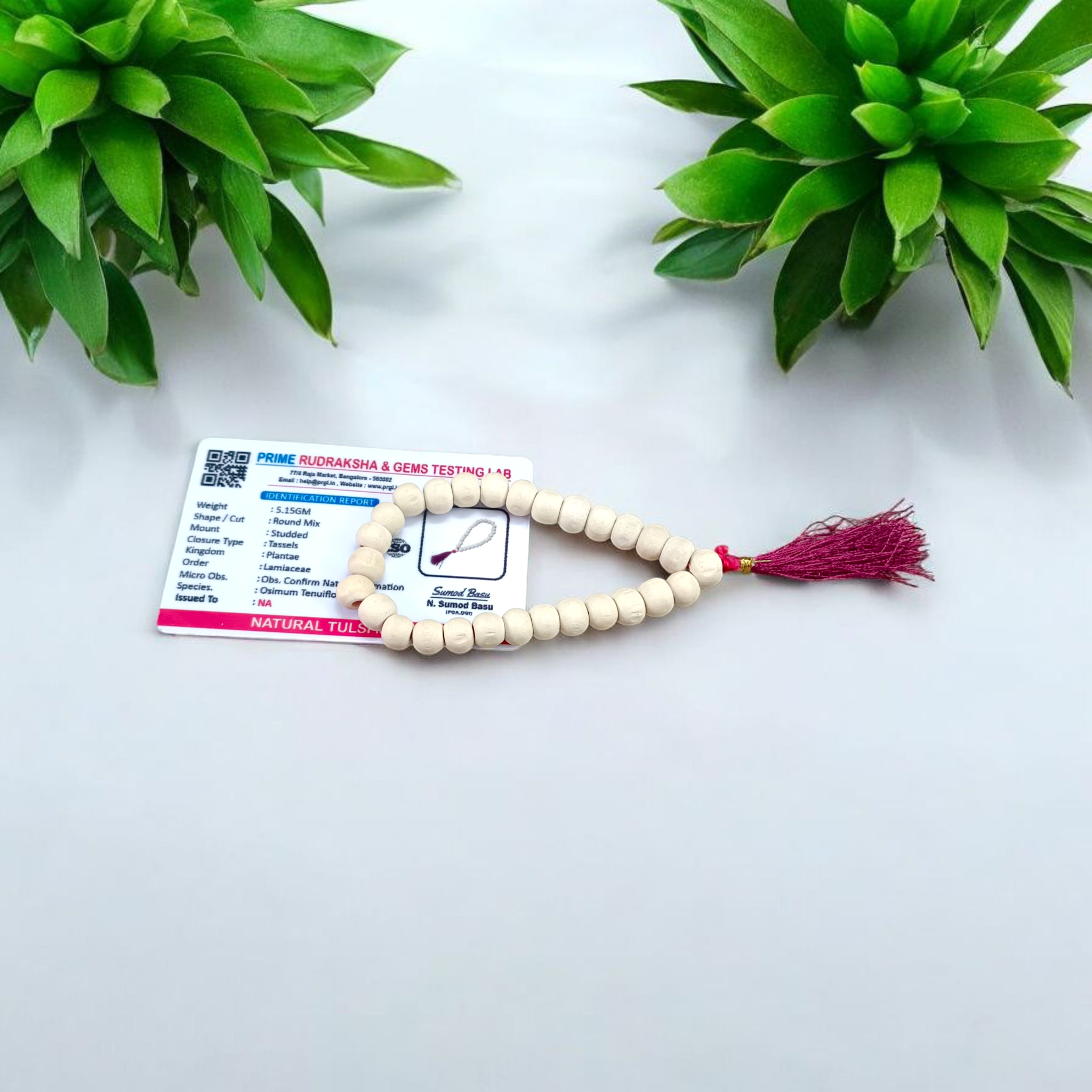 Lab-certified Tulsi Mala with 27+1 beads, used for meditation and spiritual practices, featuring traditional and sacred Tulsi beads.