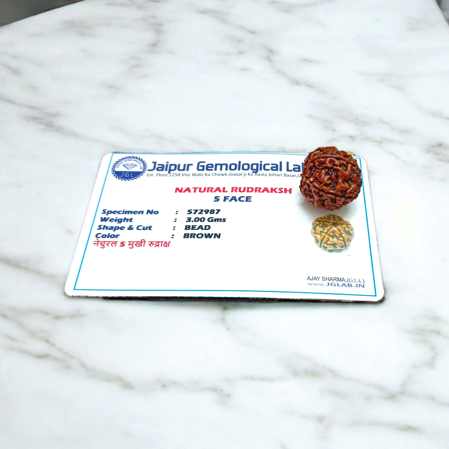 Lab Certified 5 Mukhi Rudraksha Locket from Timeshopee – Sacred Bead in Silver Plated Locket for Spiritual Benefits