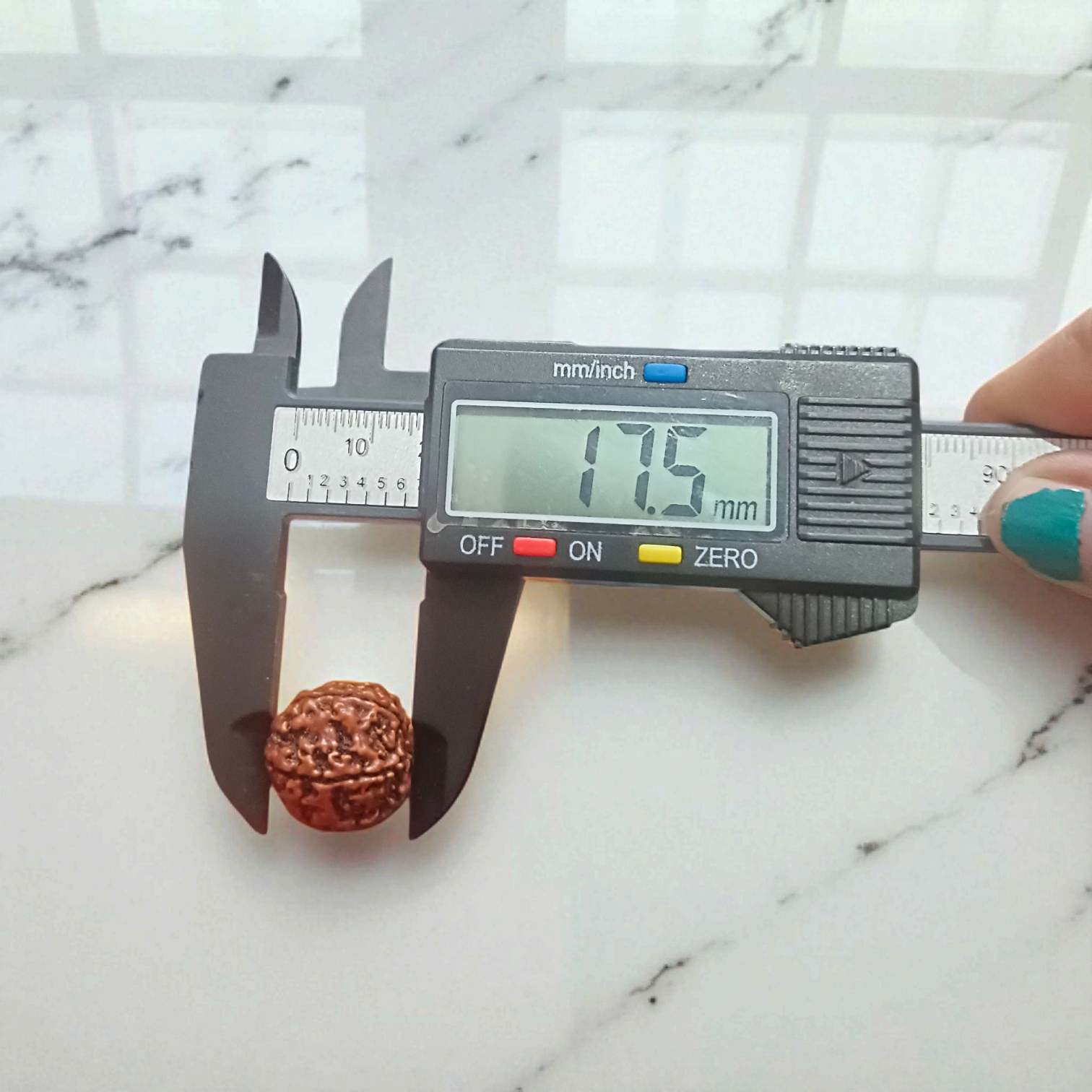 Lab Certified 5 Mukhi Rudraksha Locket from Timeshopee – Sacred Bead in Silver Plated Locket for Spiritual Benefits