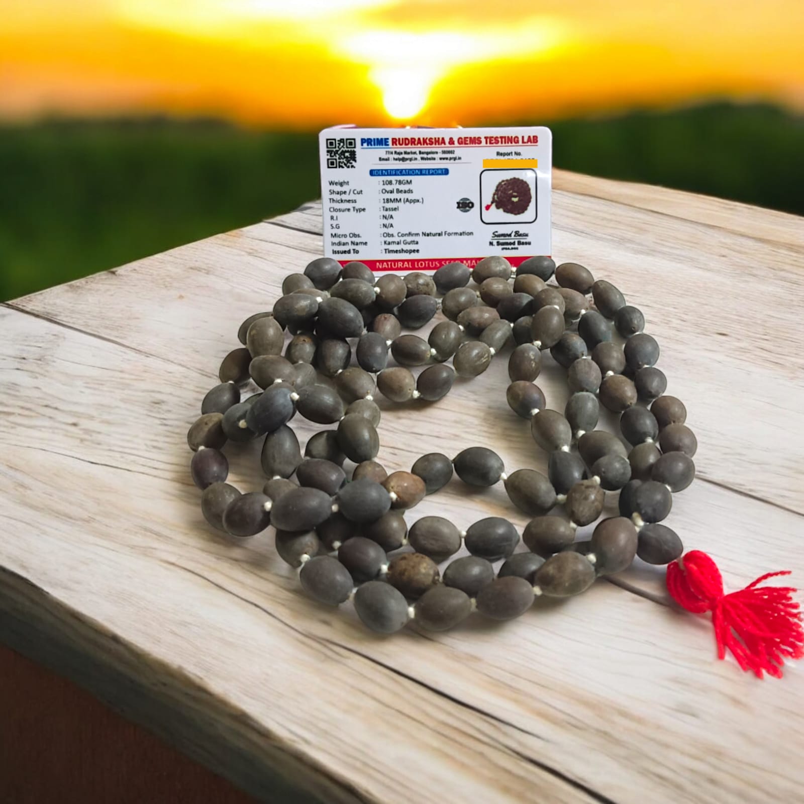 Lab Certified Kamal Gutta Mala (Lotus Seed Mala) in 27+1 and 108+1 bead variants, ideal for prayer and meditation