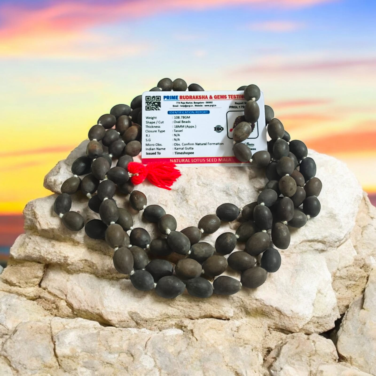 Lab Certified Kamal Gutta Mala (Lotus Seed Mala) in 27+1 and 108+1 bead variants, ideal for prayer and meditation
