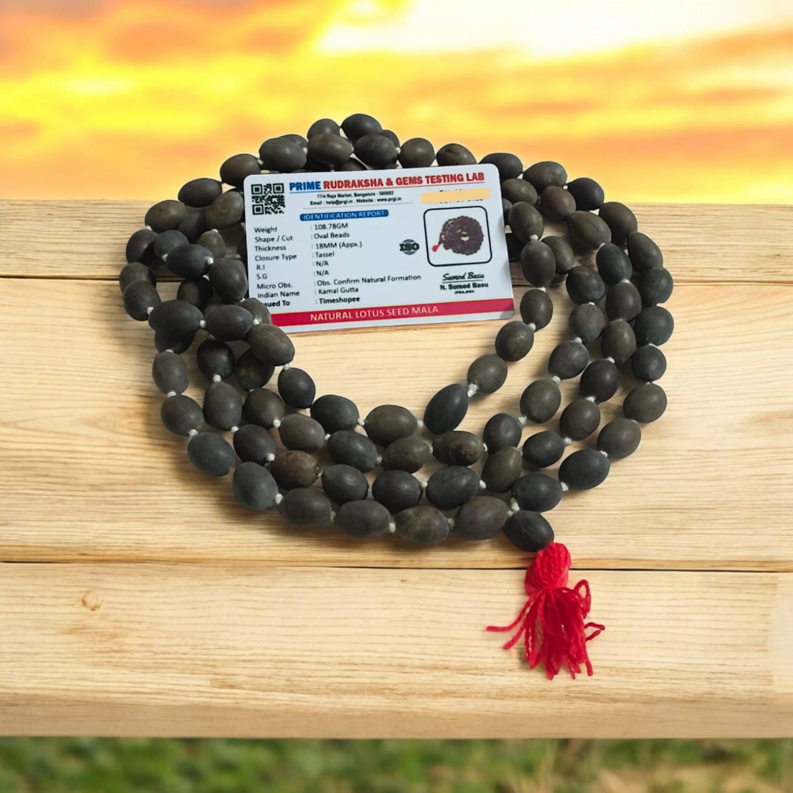 Lab Certified Kamal Gutta Mala (Lotus Seed Mala) in 27+1 and 108+1 bead variants, ideal for prayer and meditation