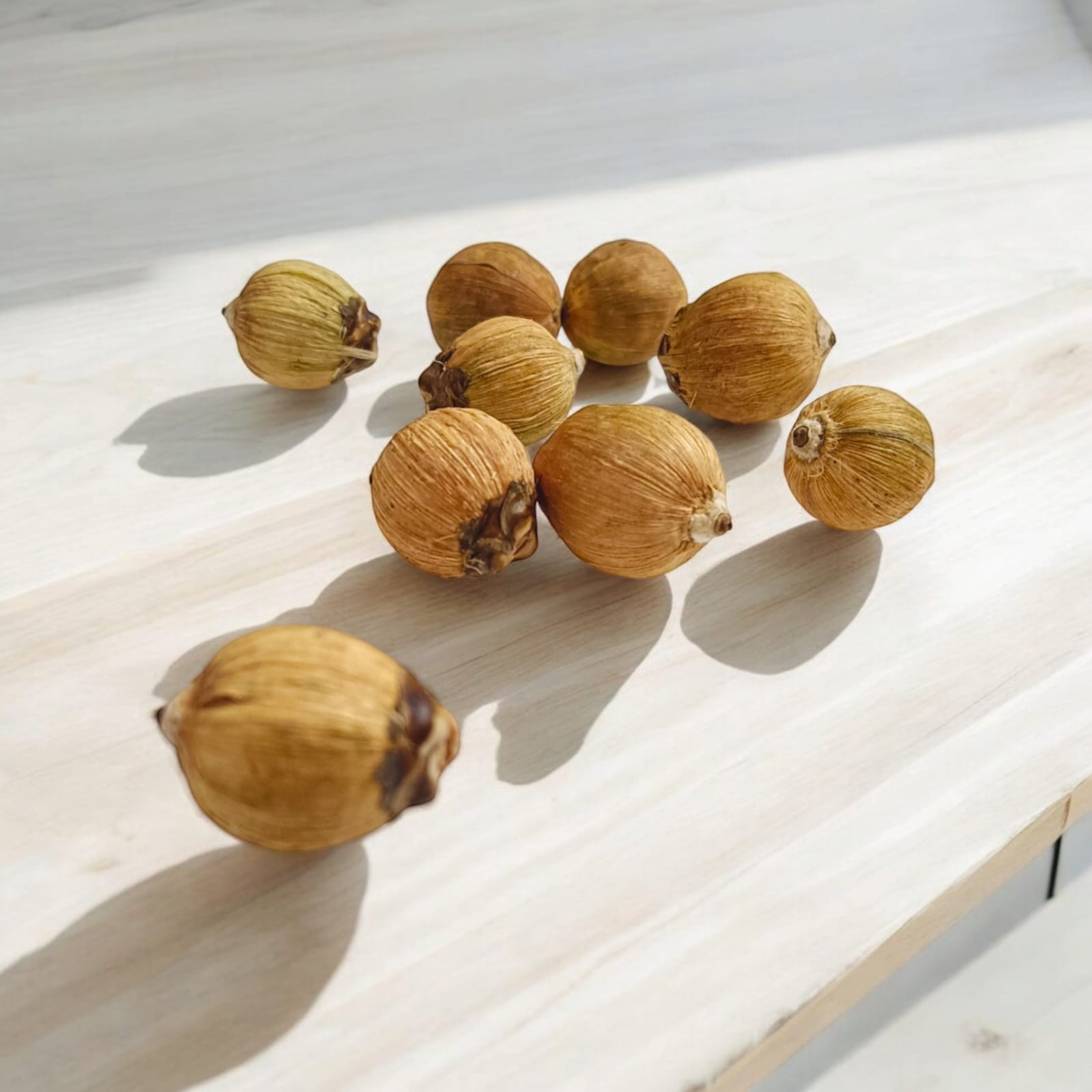 Lagu Nariyal Set of 9 - For Hawan and Pujan Rituals