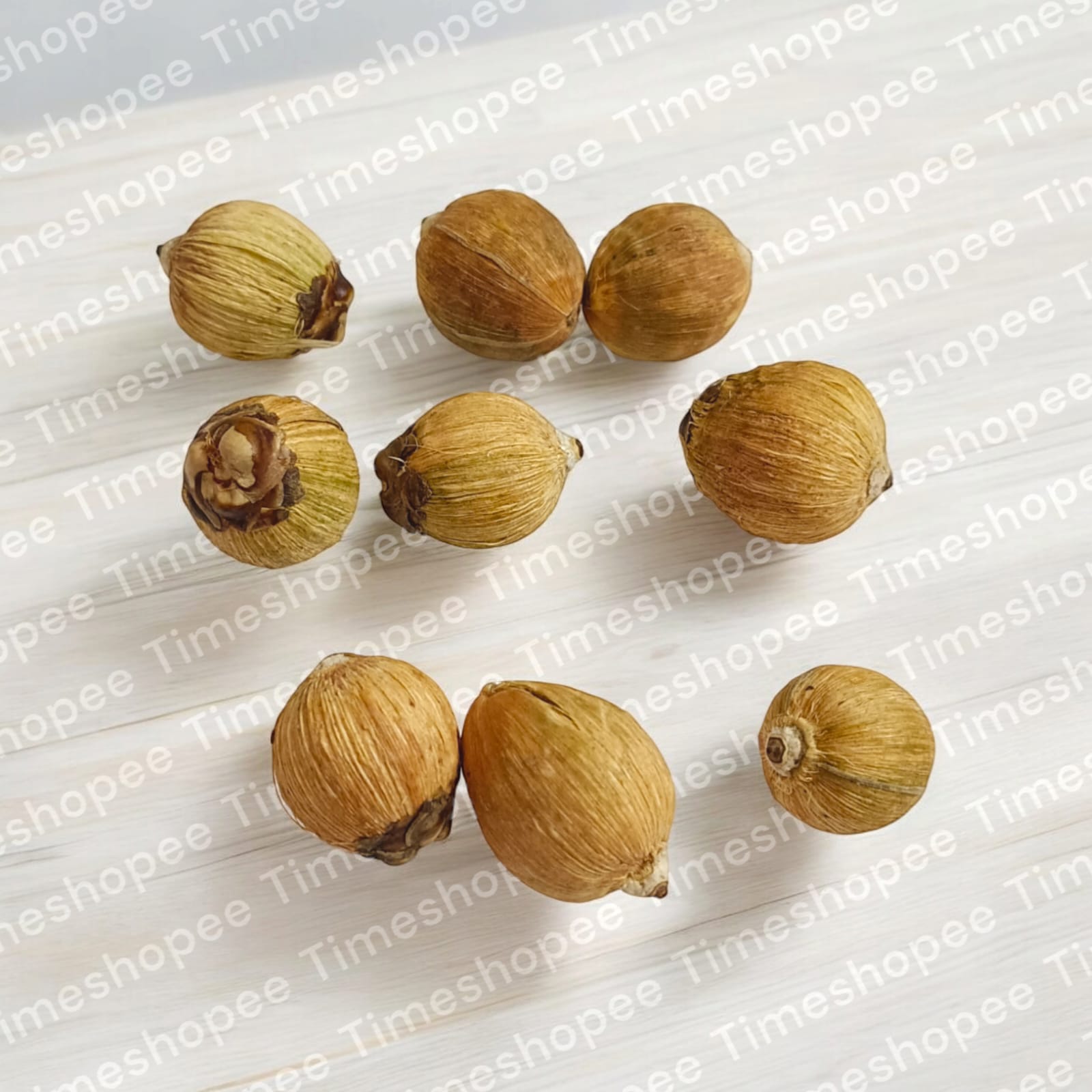 Lagu Nariyal Set of 9 - For Hawan and Pujan Rituals