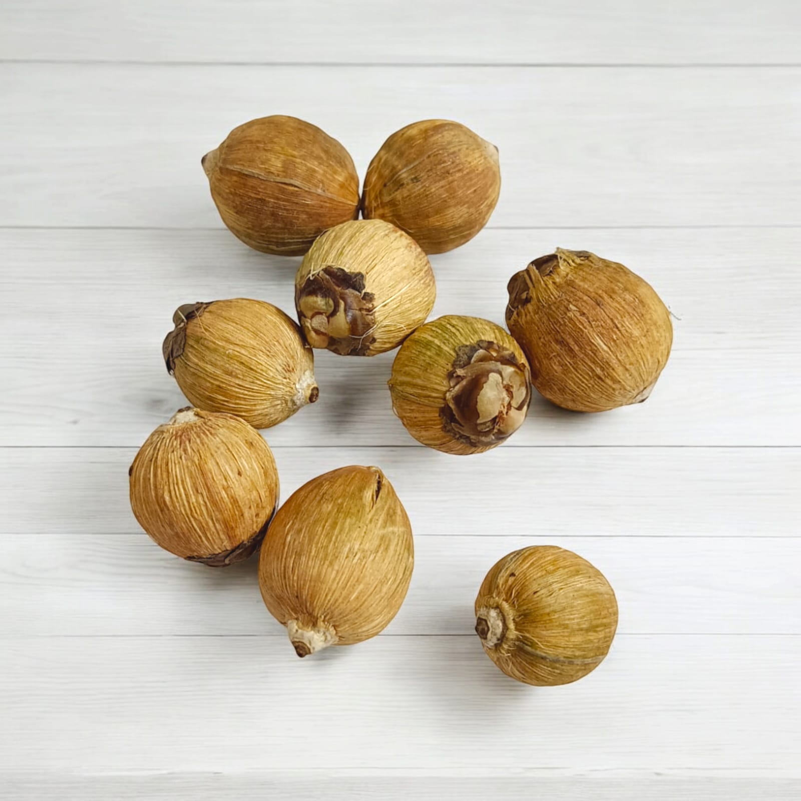 Lagu Nariyal Set of 9 - For Hawan and Pujan Rituals