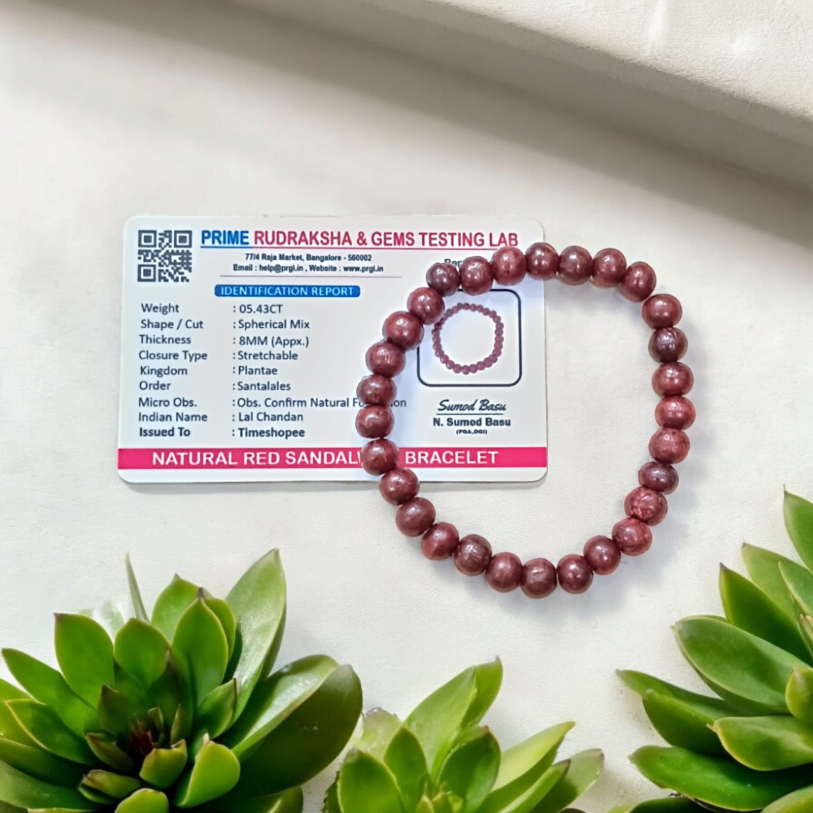 Lal Chandan Bracelet | Lab Certified Red Sandalwood