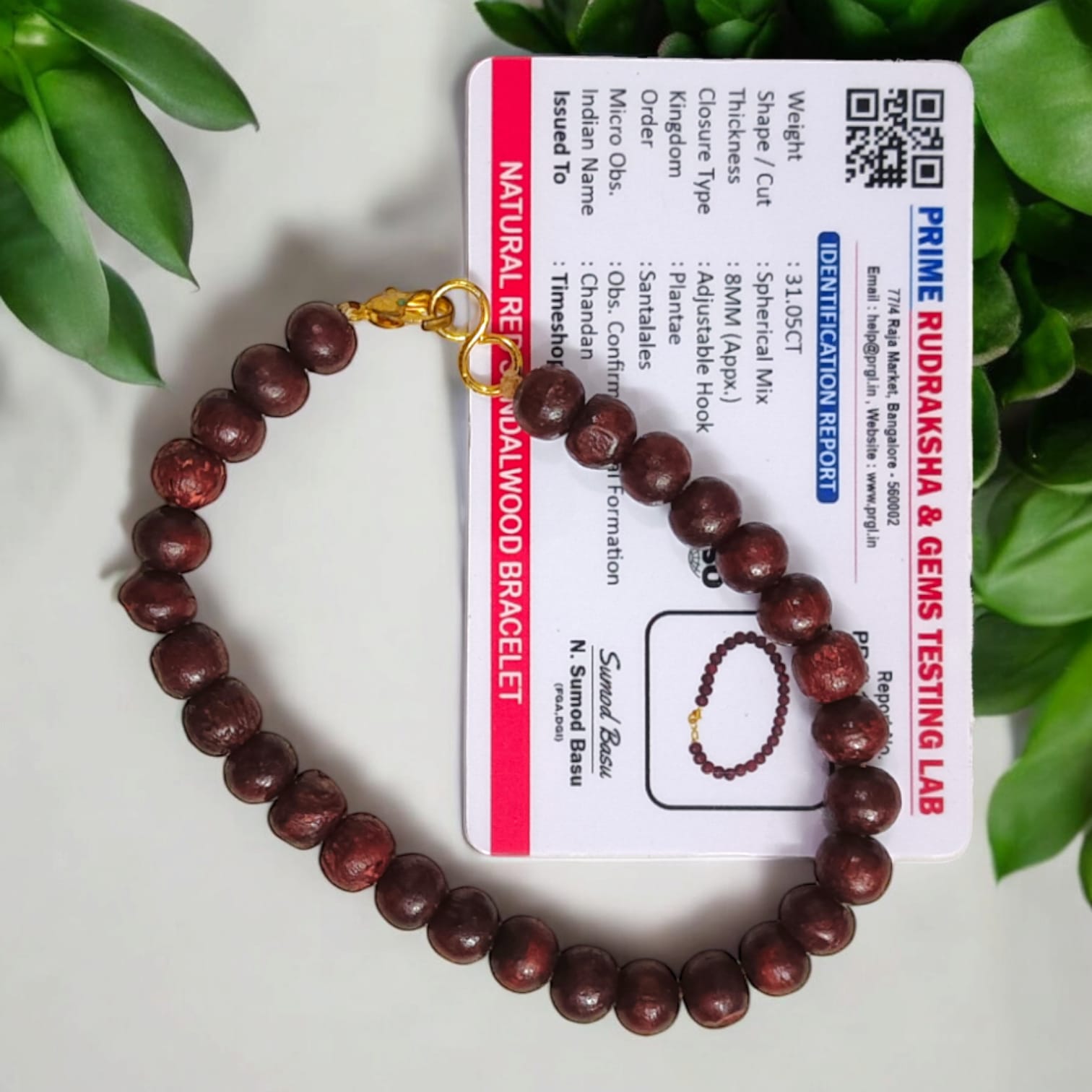 Lal Chandan Bracelet | Lab Certified Red Sandalwood