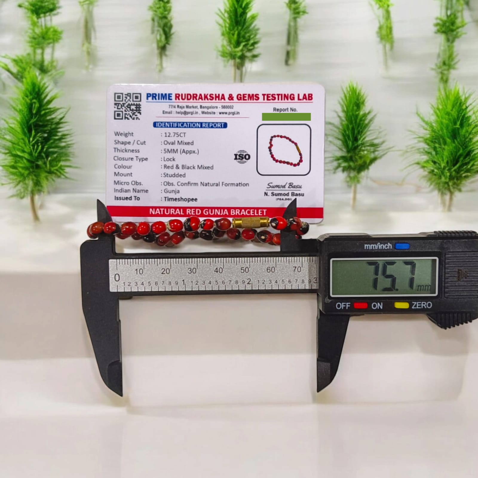 Lal Gunja Bracelets | Lab Certified | 100% Original | Timeshopee