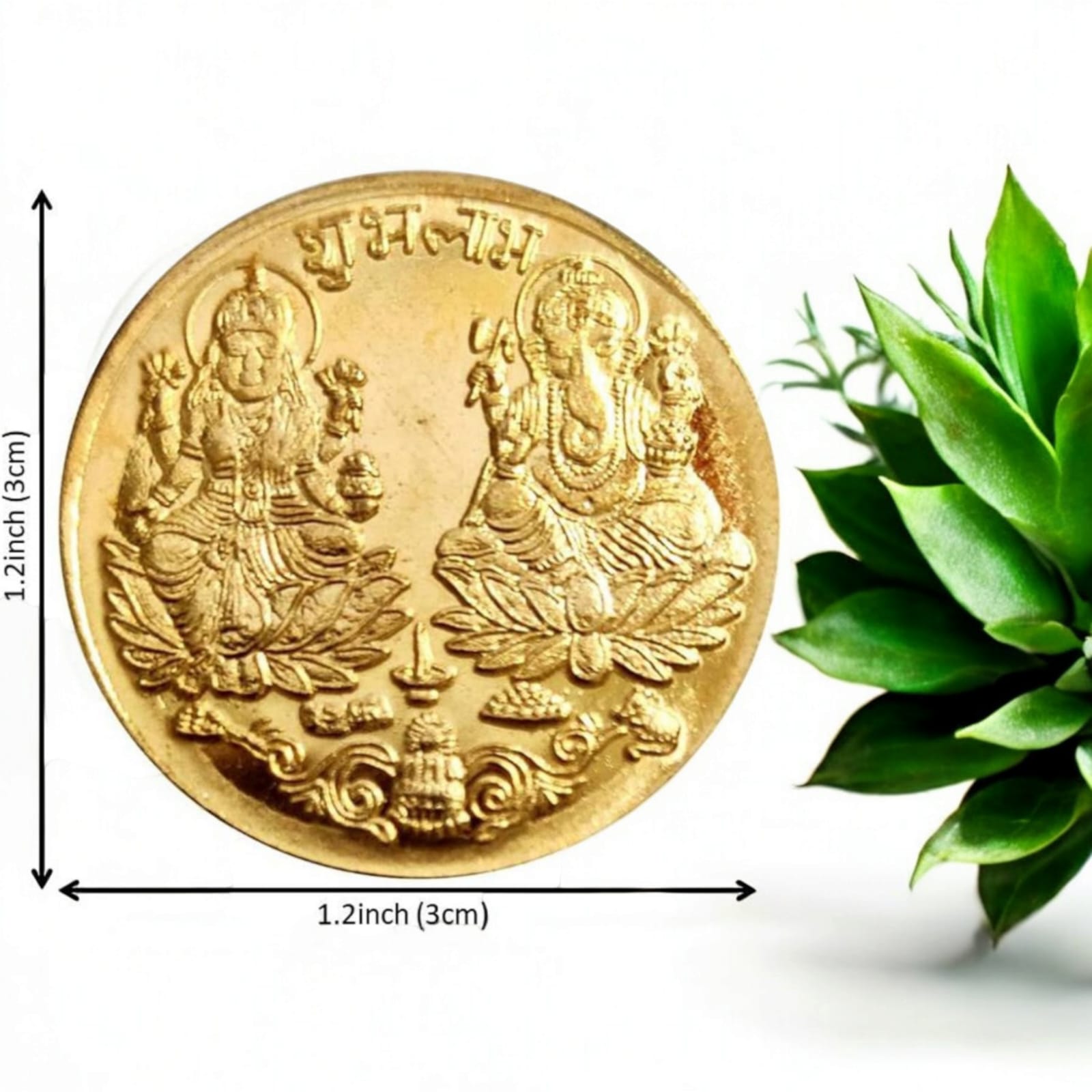 Laxmi Ganesh Coin Set of 2, golden coins for puja from Timeshopee