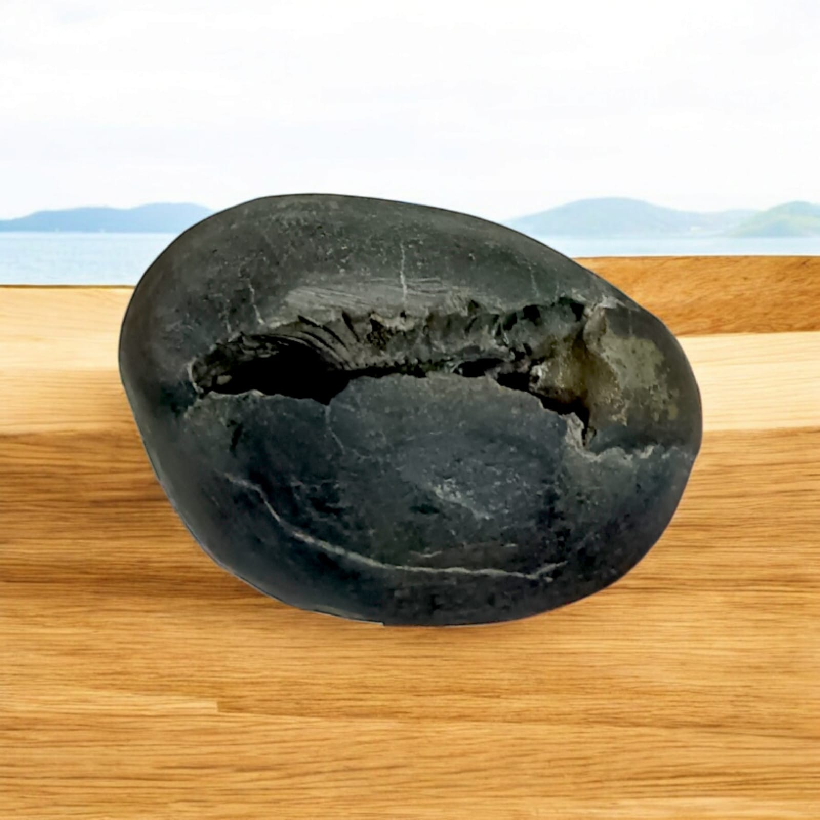 Laxmi Narayan Shaligram from Timeshopee, lab-certified by PRGL, sacred stone symbolizing Goddess Lakshmi and Lord Narayan, for worship and meditation.