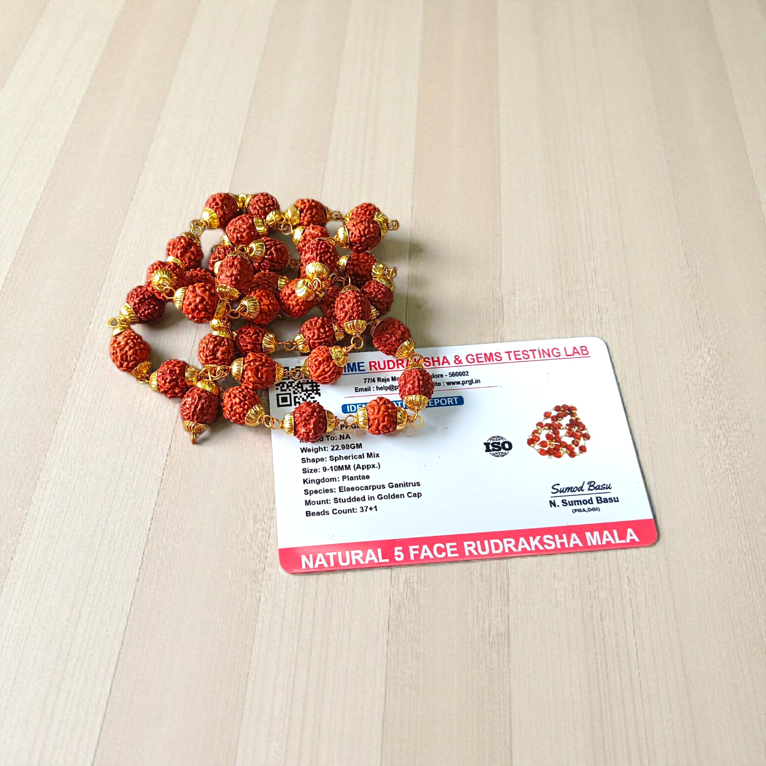 Natural 5 Face Rudraksha Mala with Golden Caps – 37+1 Beads, 9mm Size, Lab Certified for Meditation, Prayer, and Daily Wear