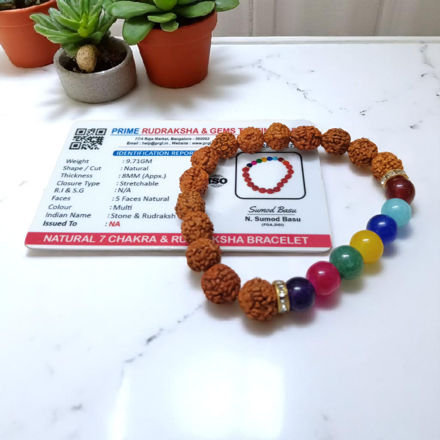 Natural 7 Chakra & Rudraksha Bracelet Combo – Lab Certified 8MM Beads | Timeshopee