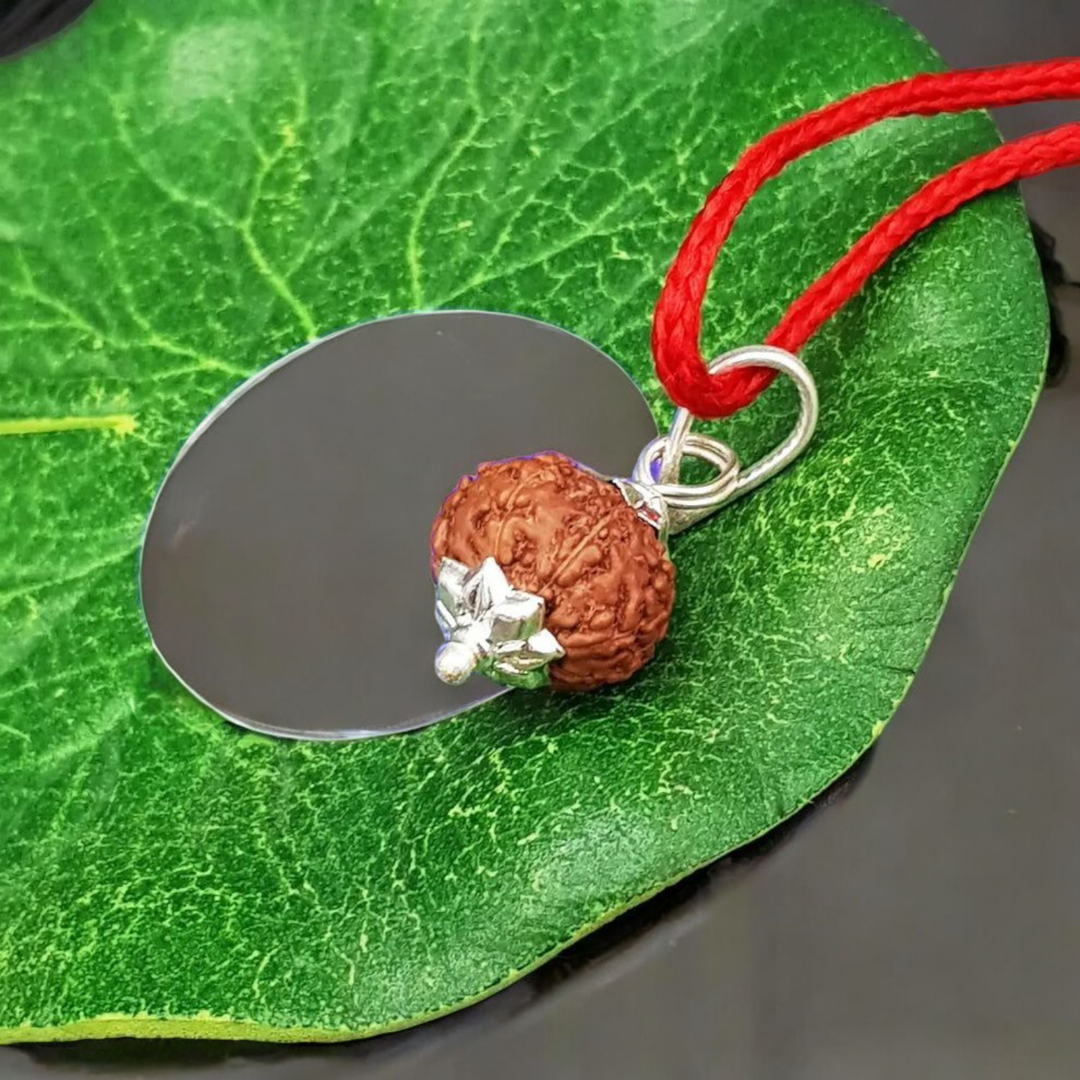 Natural 8 Mukhi Rudraksha Locket with silver capping displayed with certification from Timeshopee