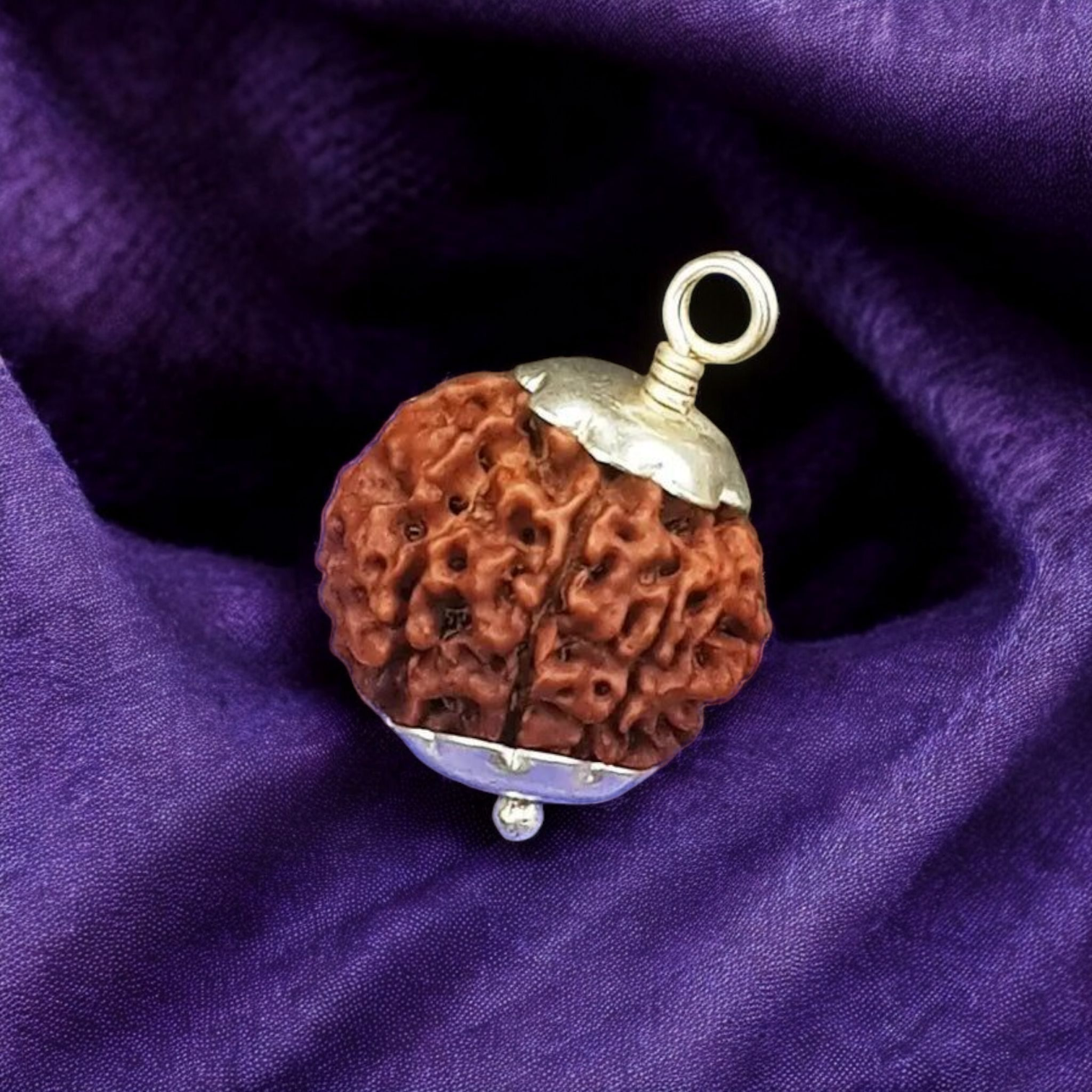 Natural 8 Mukhi Rudraksha Locket with silver capping displayed with certification from Timeshopee