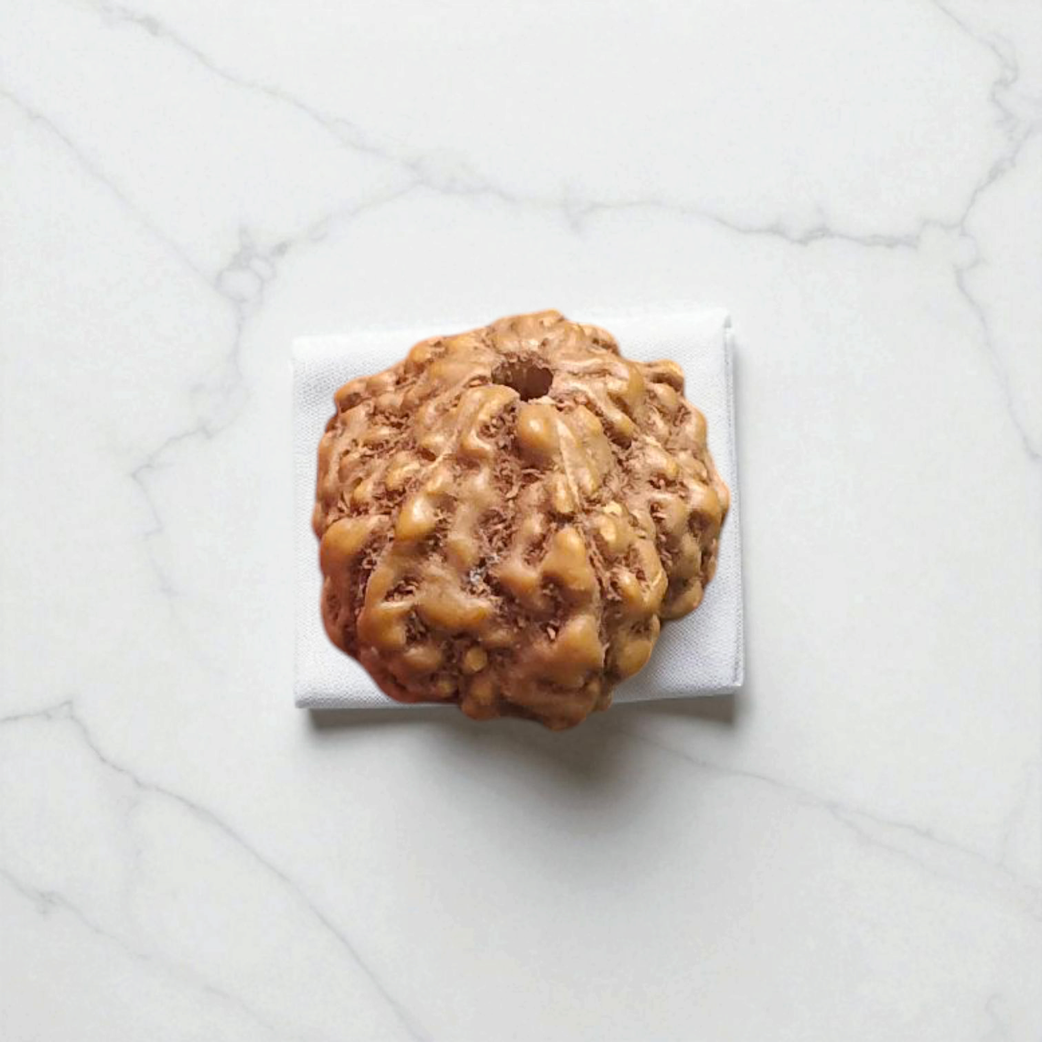 Natural 8 Mukhi Rudraksha Locket with silver capping displayed with certification from Timeshopee