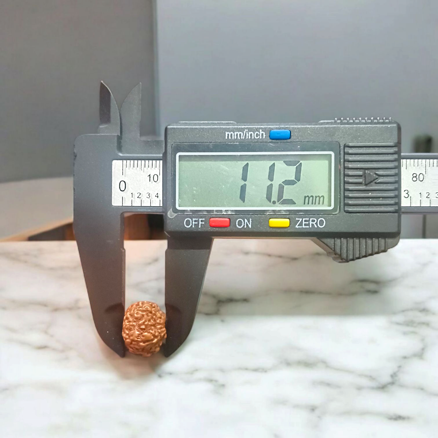 Natural 8 Mukhi Rudraksha Locket with silver capping displayed with certification from Timeshopee