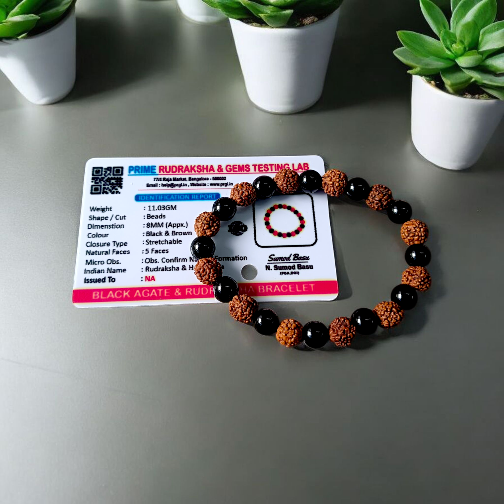 Natural Agate and 5 Mukhi Rudraksha bracelet with black and brown beads on a white background