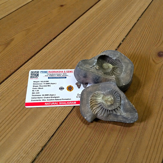 Natural Chakra Shaligram stone with visible sacred chakra markings placed in a traditional worship setting