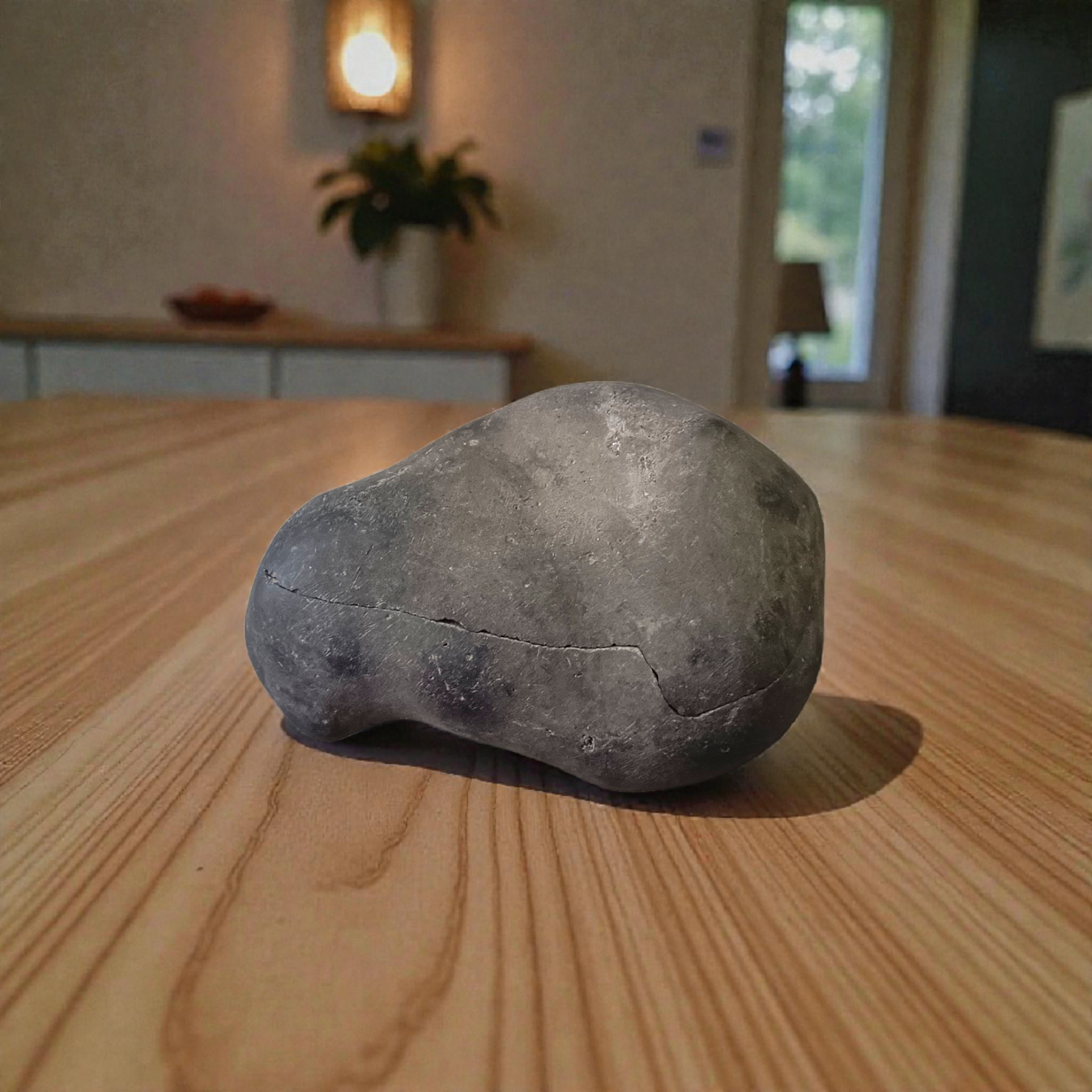 Natural Chakra Shaligram stone with visible sacred chakra markings placed in a traditional worship setting