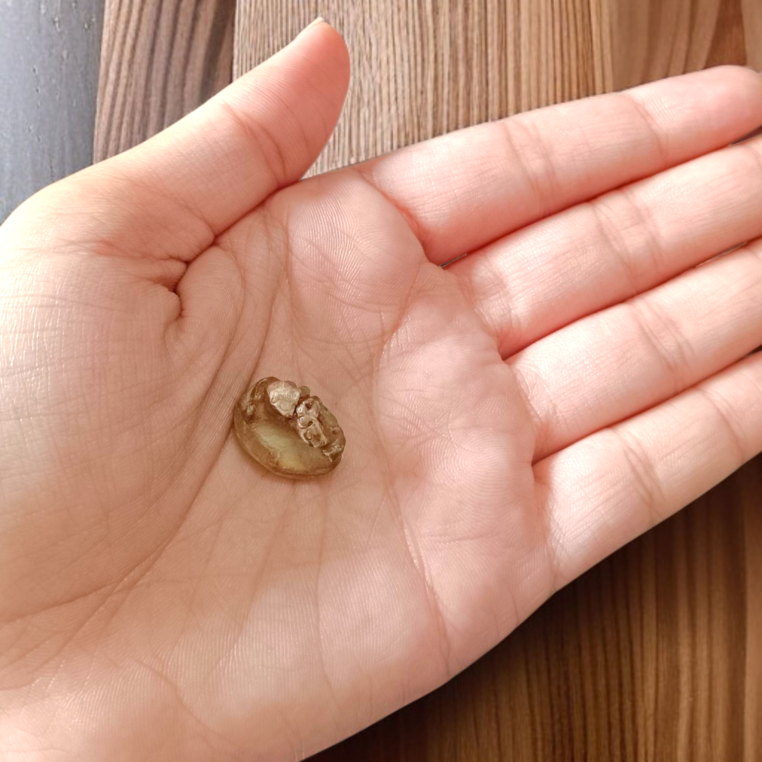 Natural Chandra Mani Without Studded – Lab Certified gemstone for emotional balance, calmness, and mental clarity