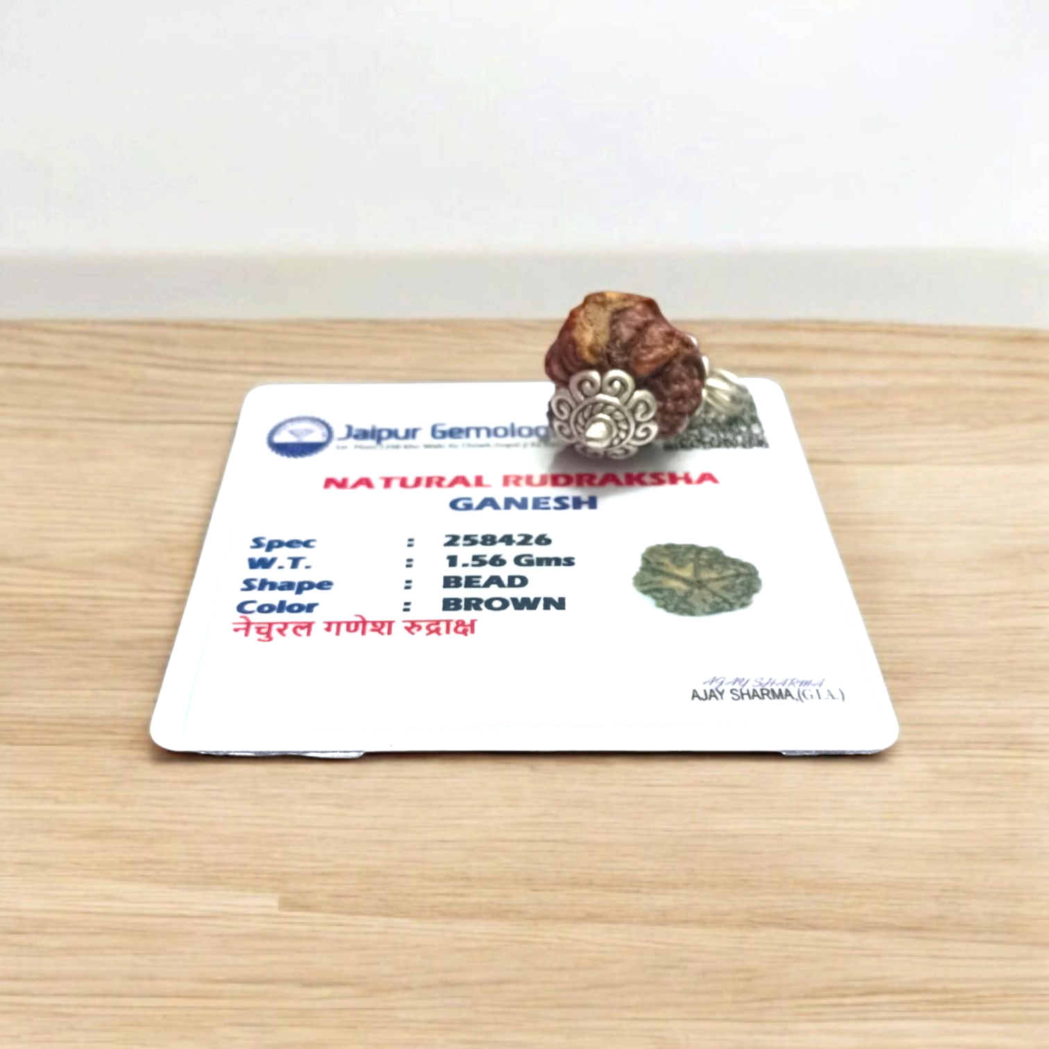 Natural Rudraksha Ganesh Pendant with Silver Coating – Spiritual Locket Featuring Lord Ganesha Symbol for Peace and Protection