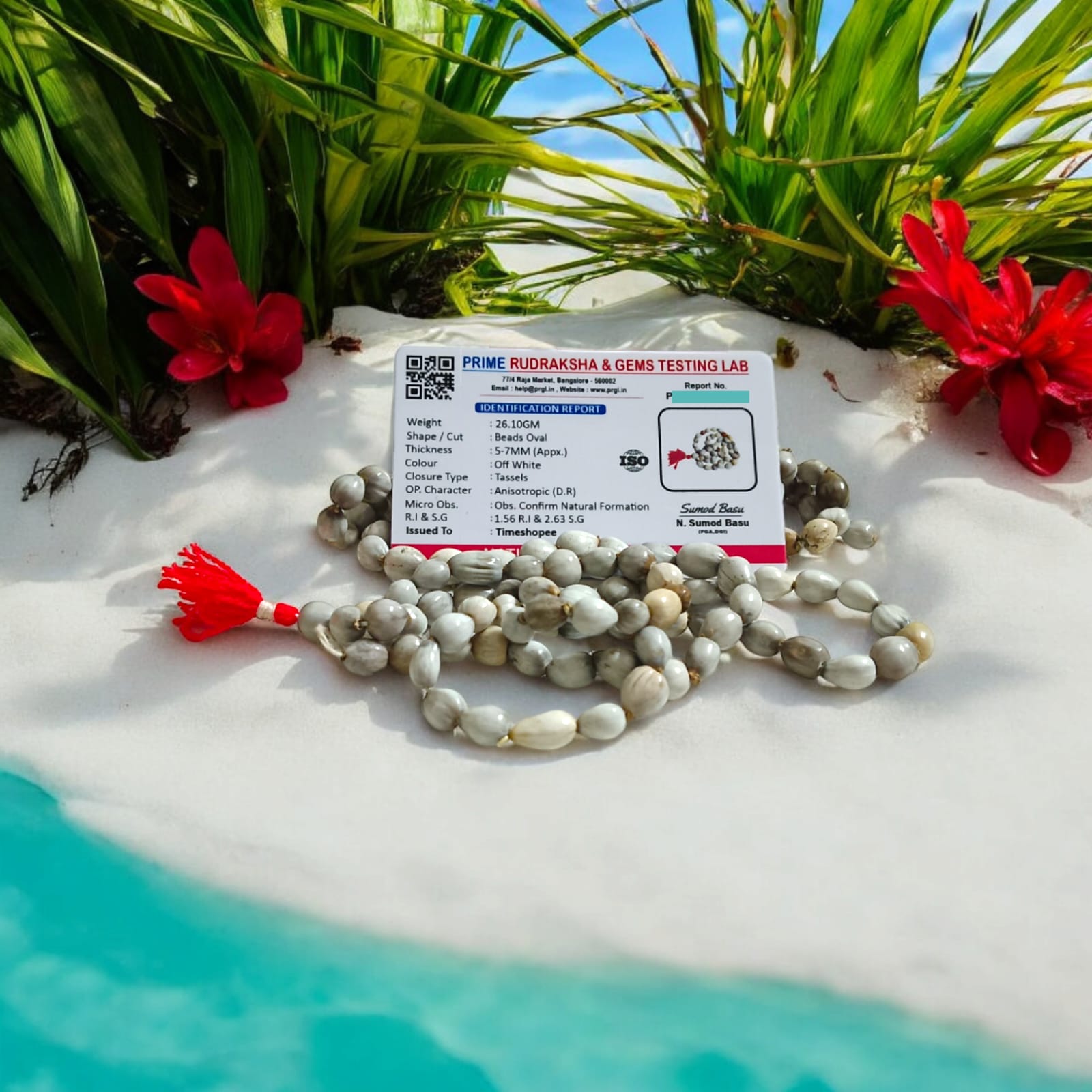 Natural Vaijanti Mala with Lab Certificate displayed in a pouch.