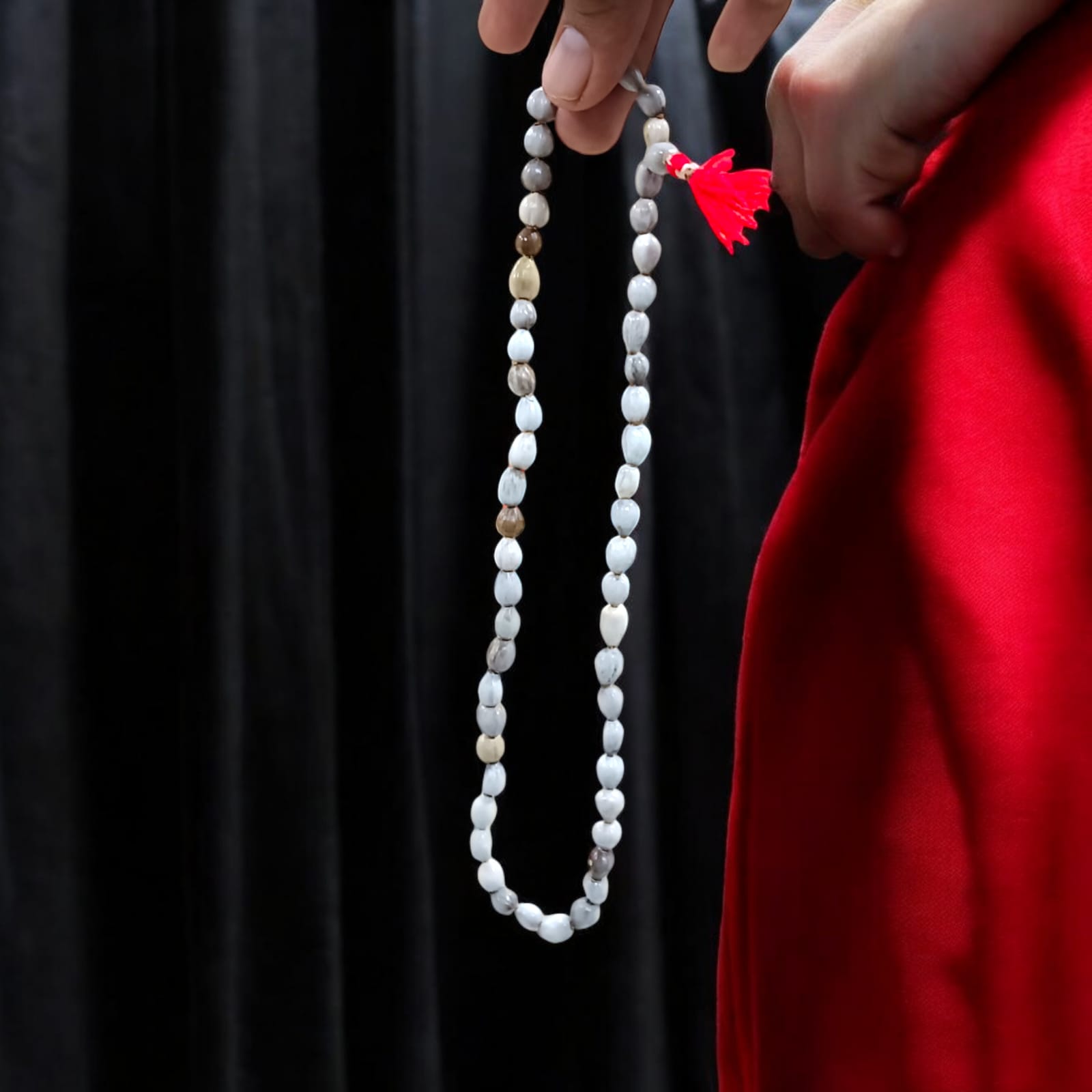 Natural Vaijanti Mala with Lab Certificate, featuring 54+1 beads, displayed inside a protective pouch from Timeshopee.