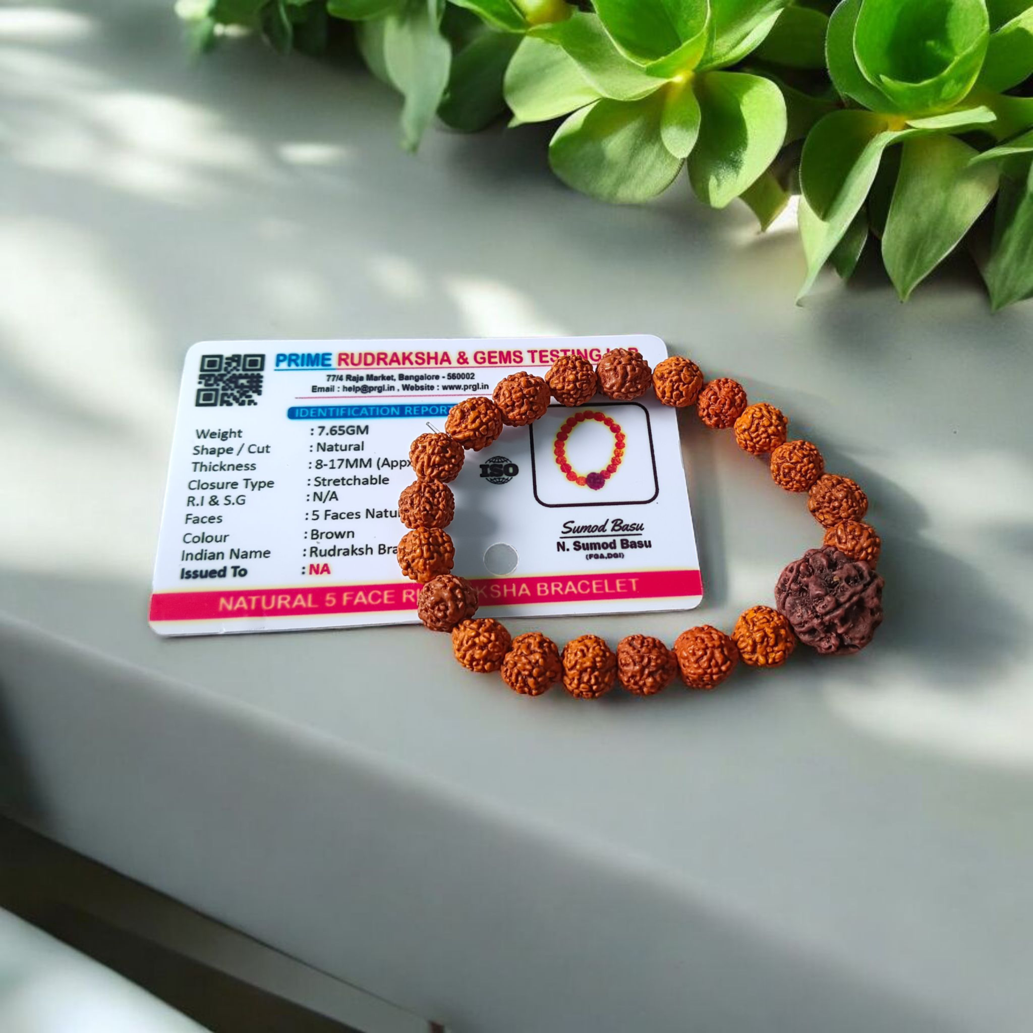 Original 5 Face Rudraksha Bracelet with natural brown beads and stretchable design from Timeshopee for spiritual protection and meditation use