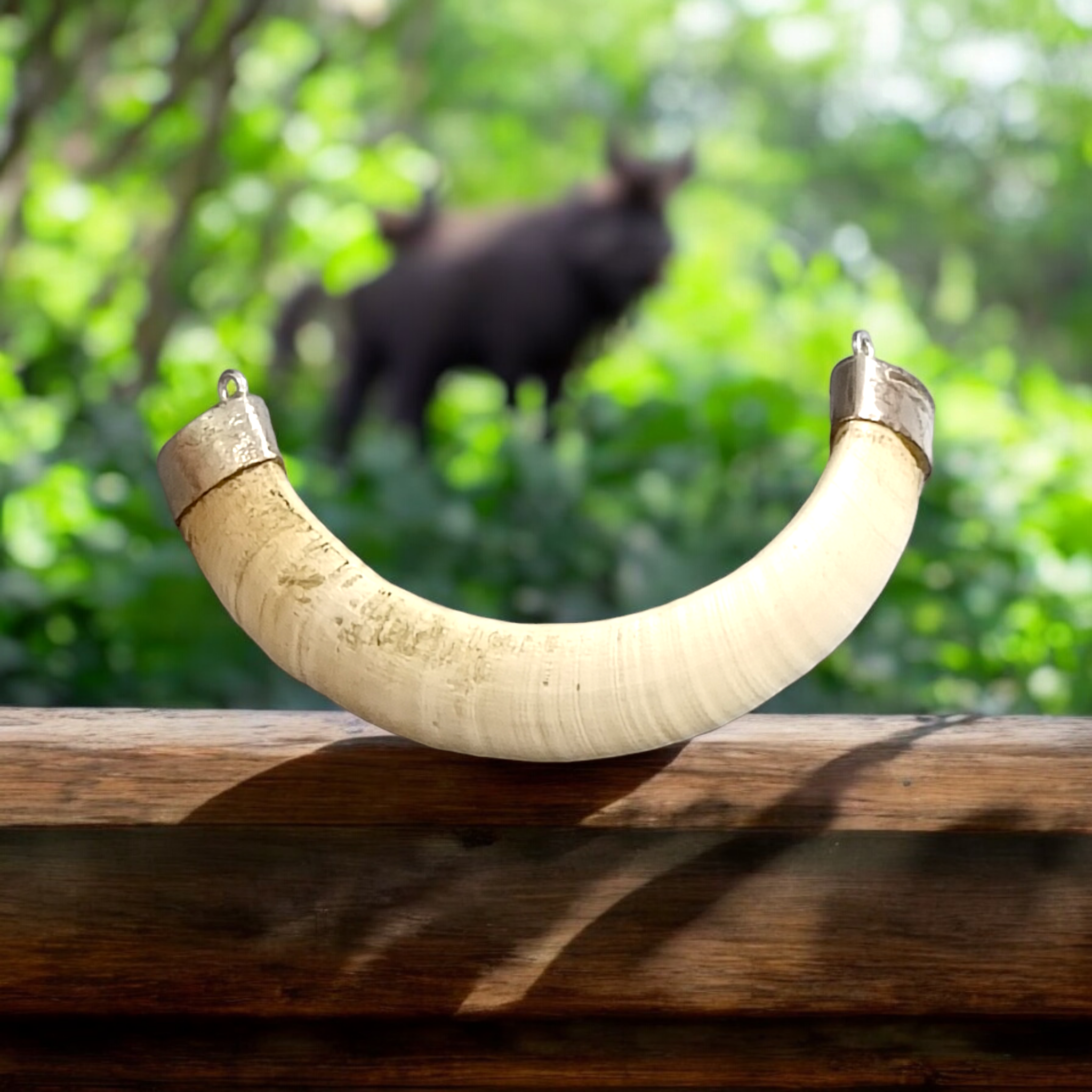 Original Wild Boar Teeth Pendant U Shape with Pure Silver Studding