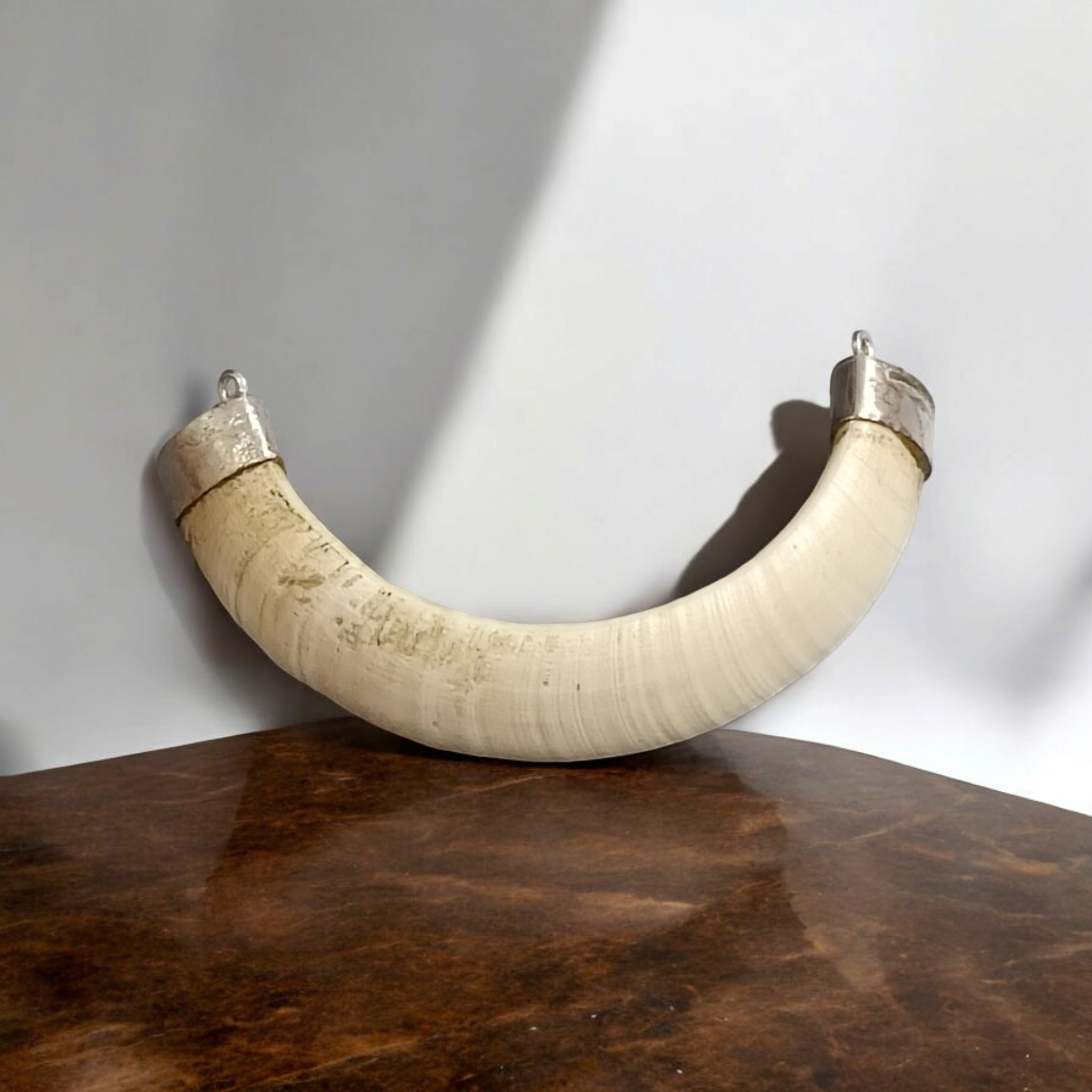 Original Wild Boar Teeth Pendant U Shape with Pure Silver Studding