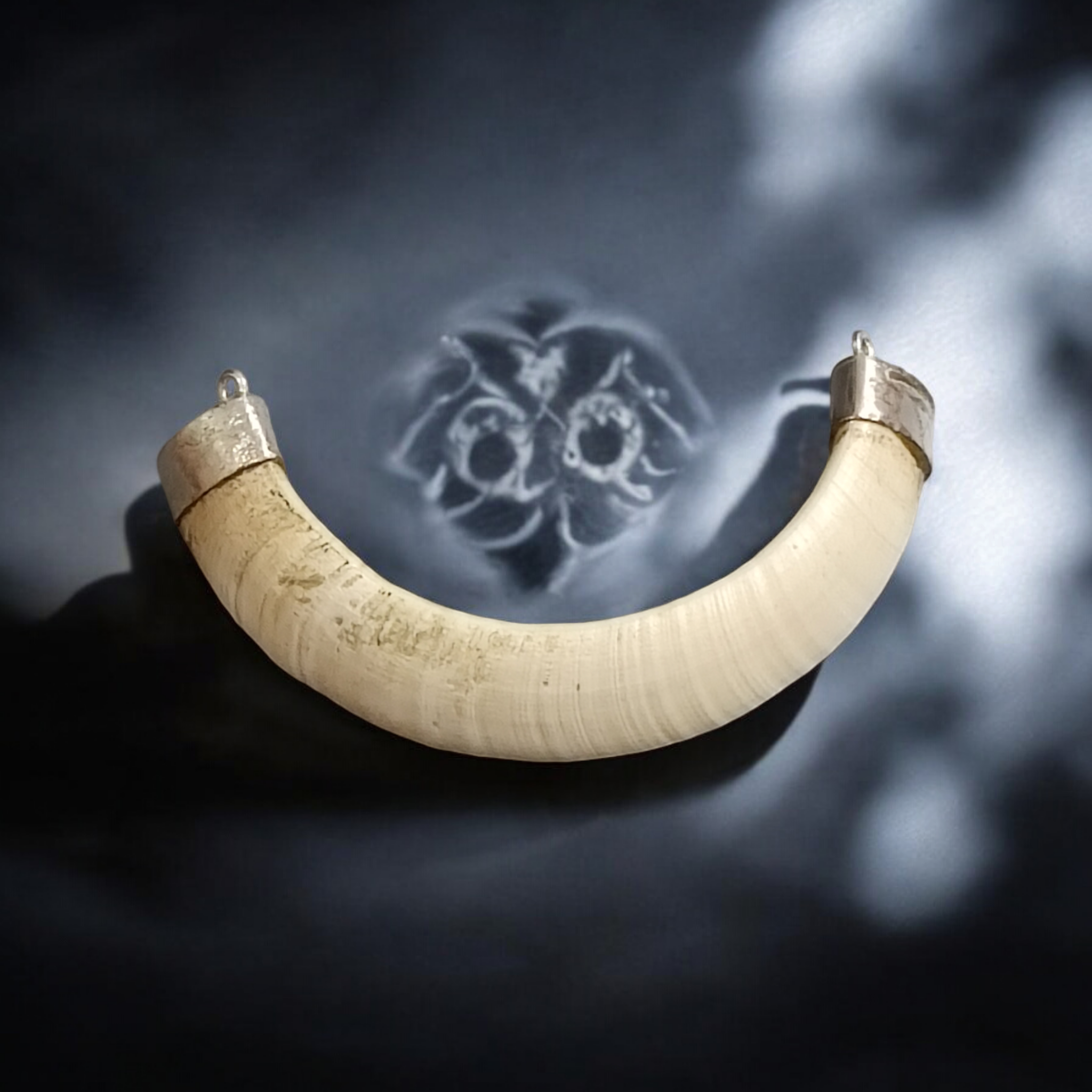 Original Wild Boar Teeth Pendant U Shape with Pure Silver Studding