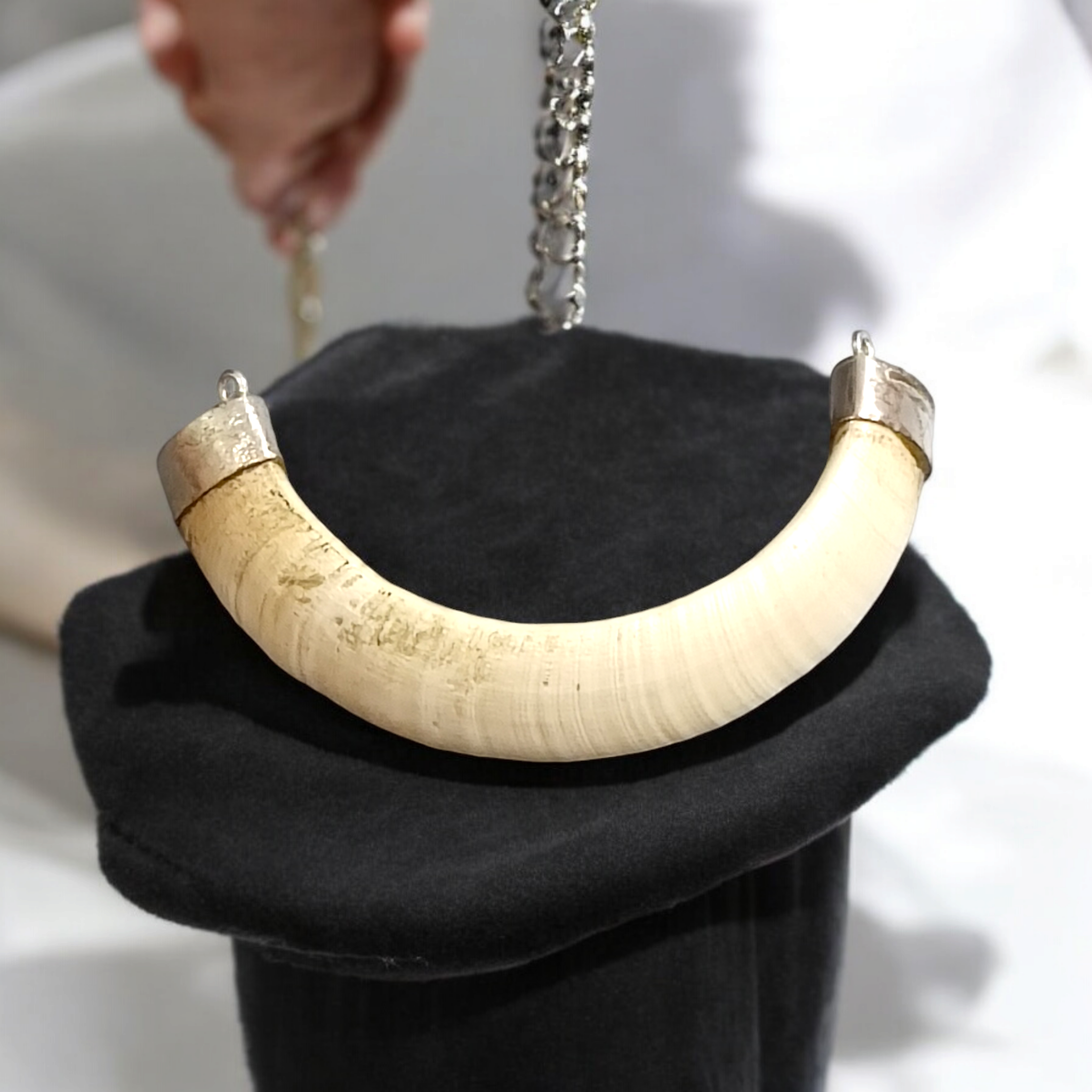 Original Wild Boar Teeth Pendant U Shape with Pure Silver Studding