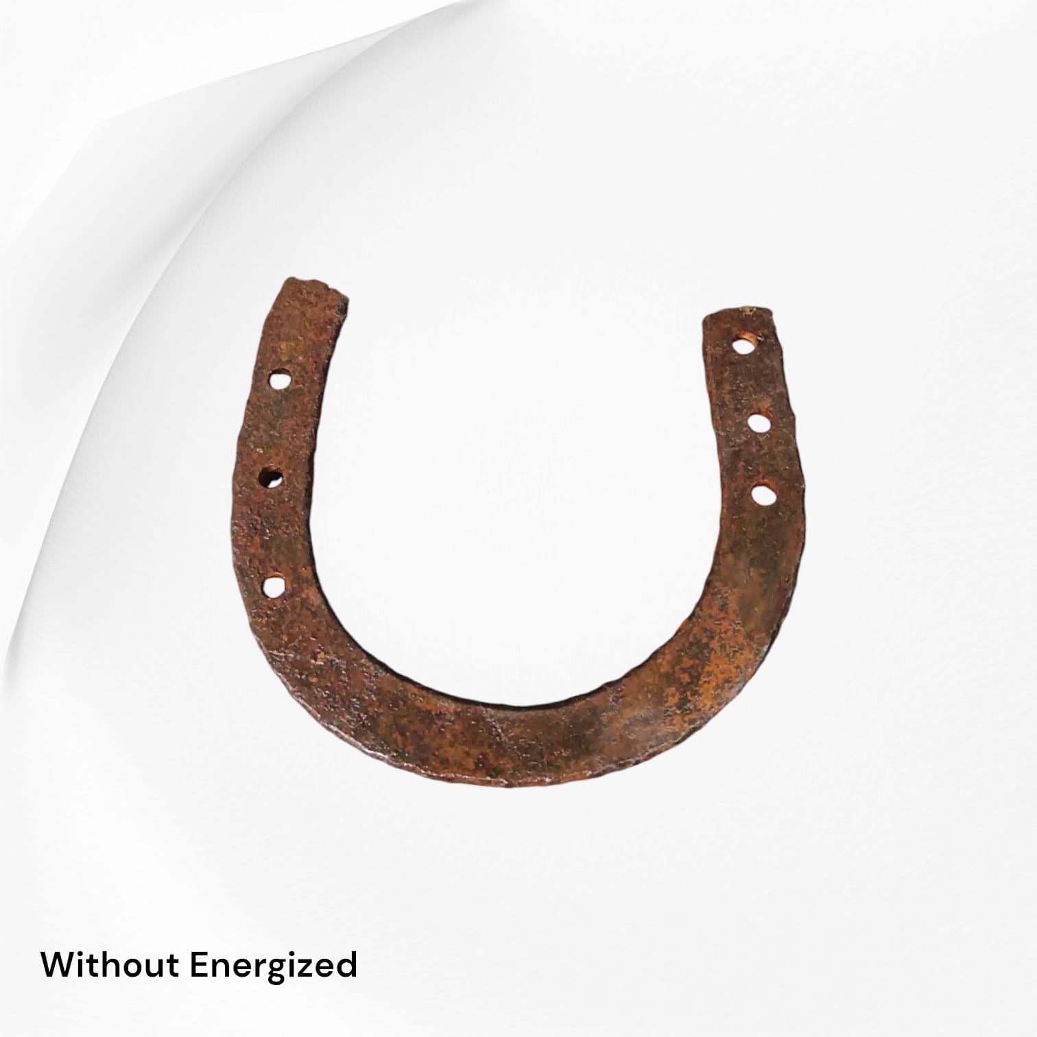 Original black horse shoe with ring from Timeshopee, a symbol of protection and prosperity