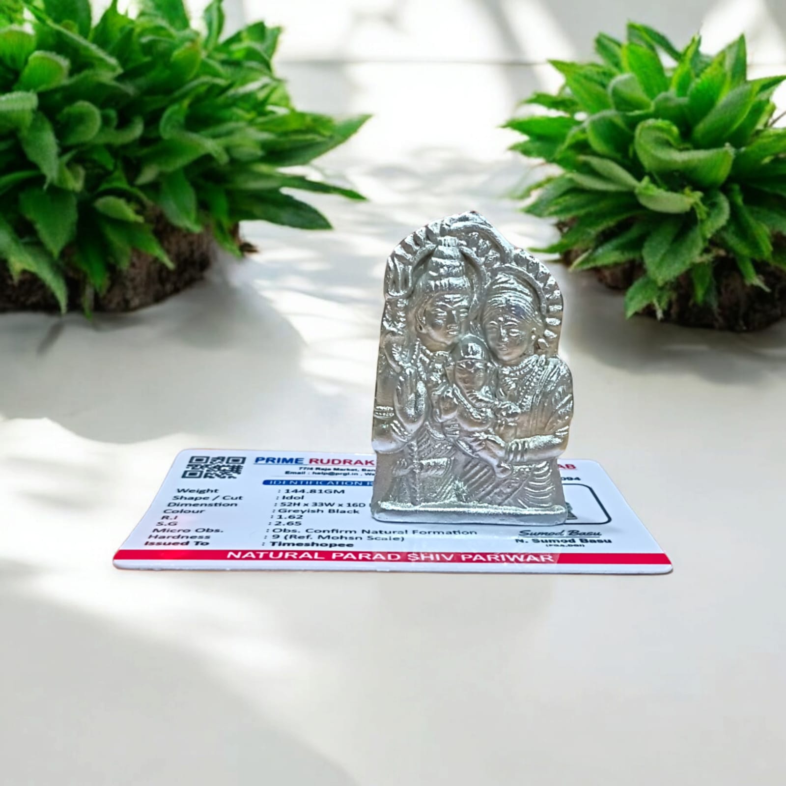 Parad Shiv Pariwar - 100% Genuine Mercury Family of Lord Shiva, Lab Certified, from Timeshopee. A sacred set of Lord Shiva, Goddess Parvati, and Lord Ganesha crafted from pure mercury, symbolizing divine family blessings and protection.