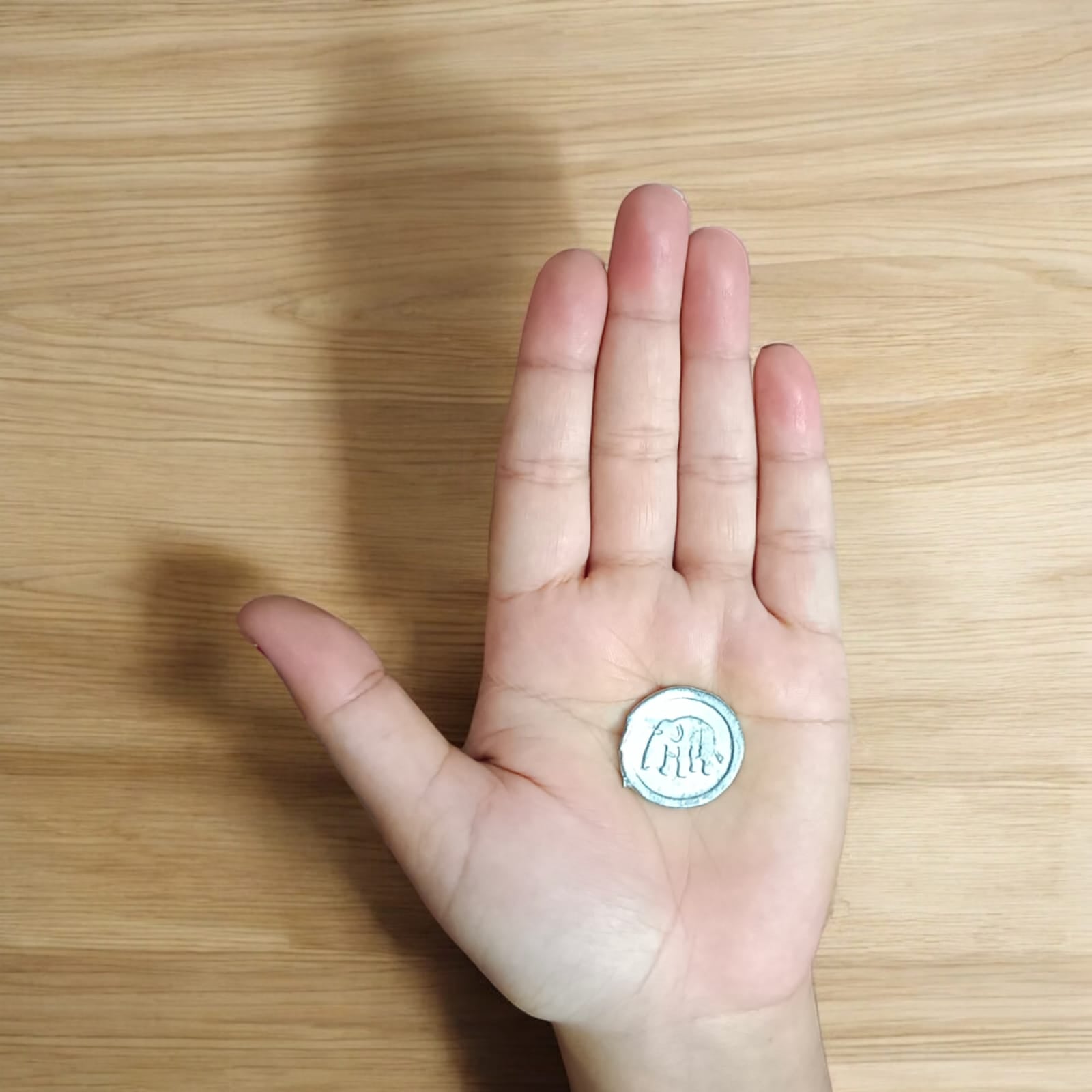 Ranga Rahu Yantra Coin featuring intricate designs, used for remedies against Rahu’s malefic effects, suitable for carrying or placement in home or office.