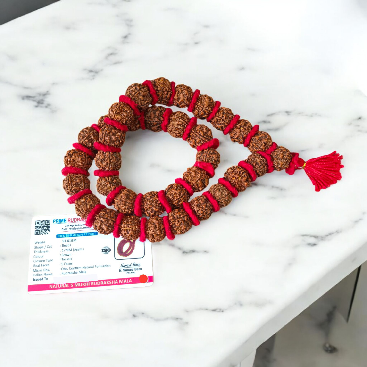 Rudraksha Kantha Mala | Lab Certified | Timeshopee
