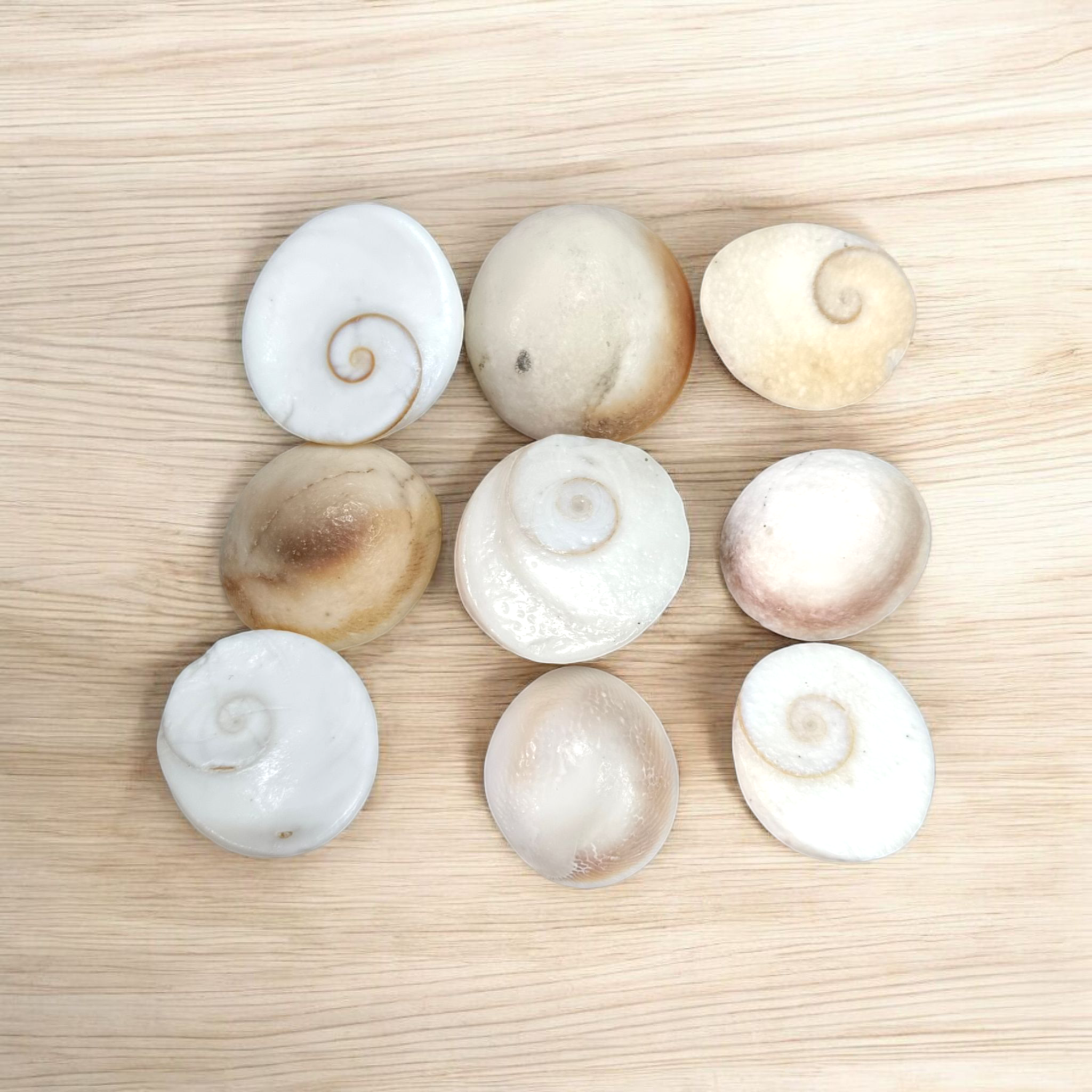 Set of 9 Gomati Chakras, sacred stones for spiritual protection, prosperity, and divine blessings