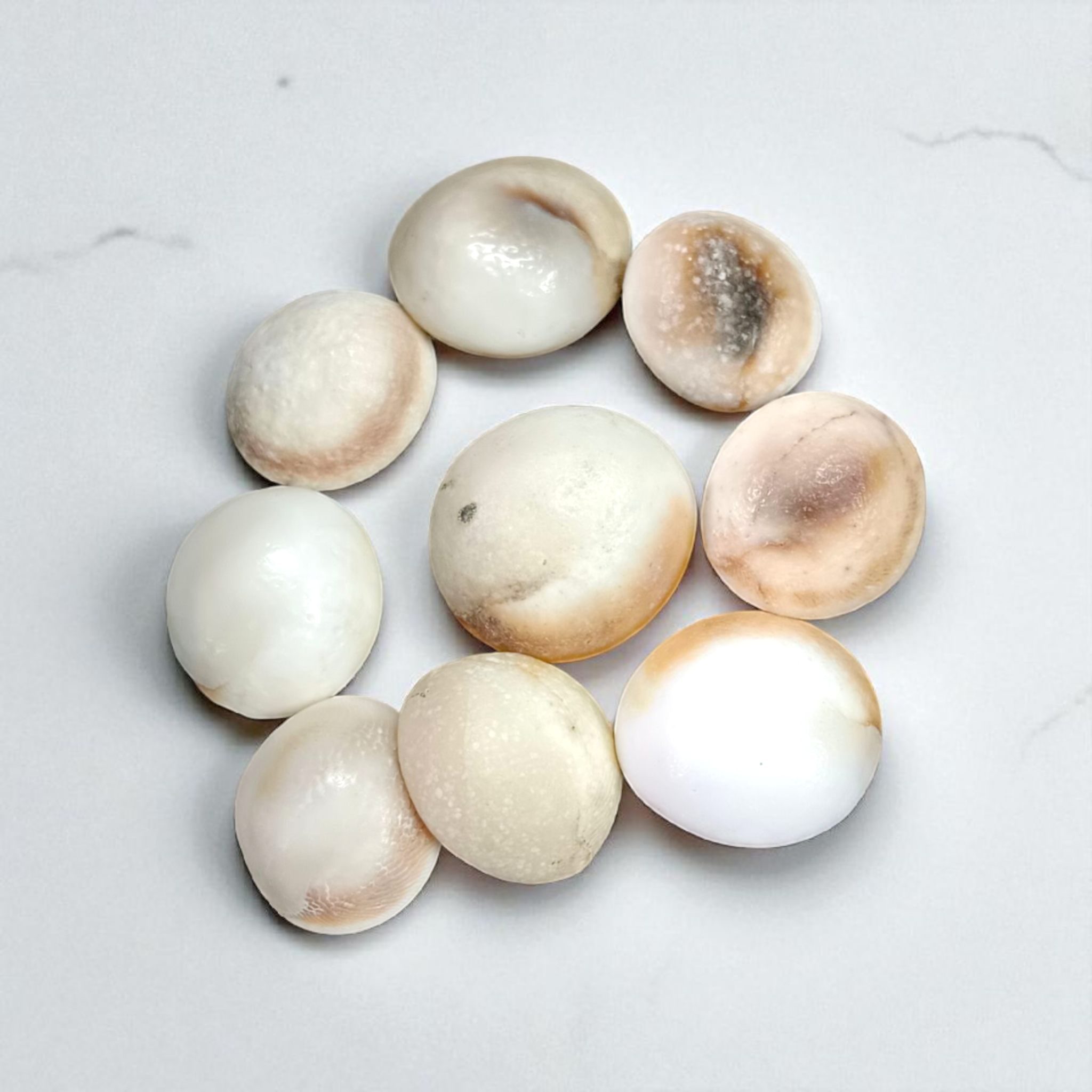 Set of 9 Gomati Chakras, sacred stones for spiritual protection, prosperity, and divine blessings