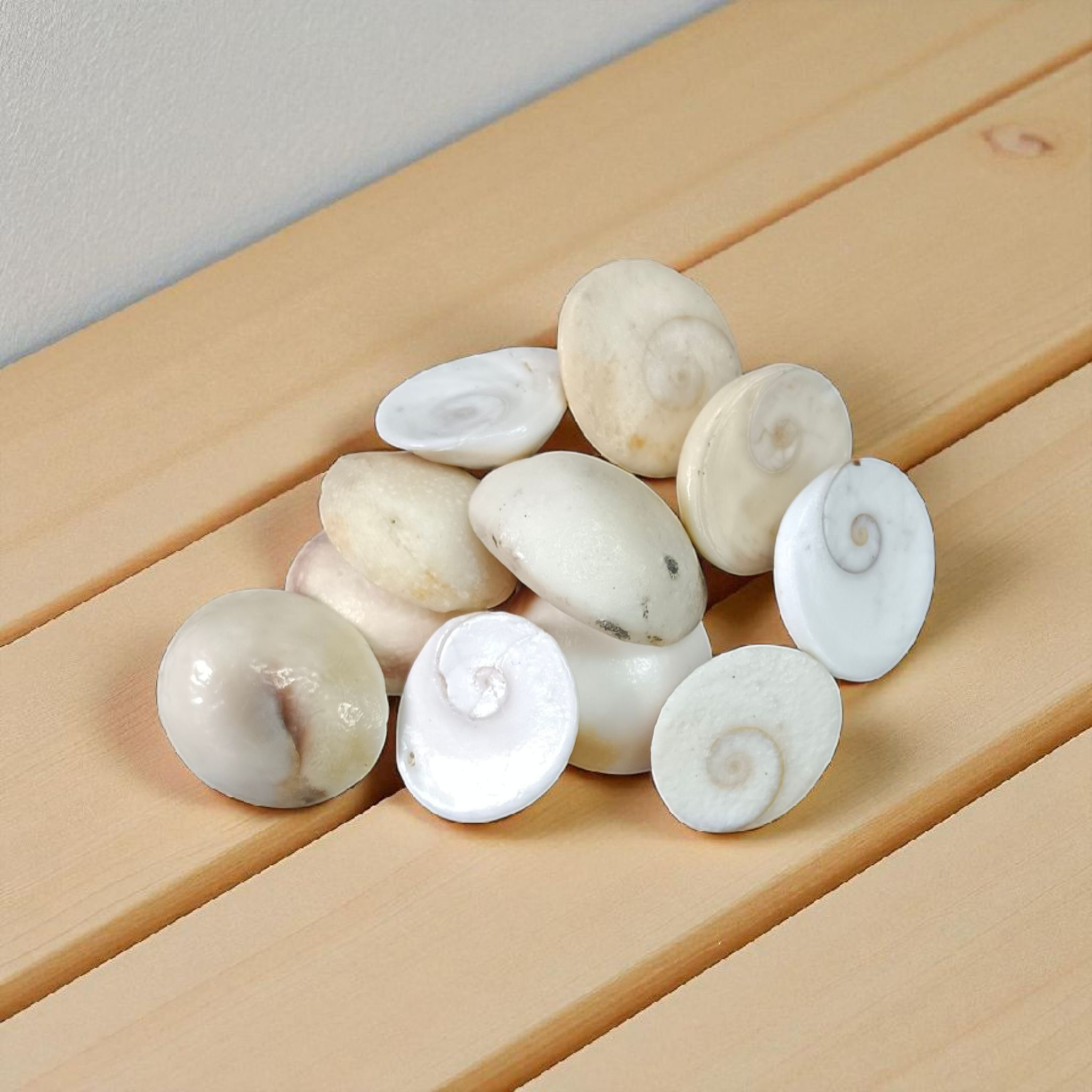 Set of 9 Gomati Chakras, sacred stones for spiritual protection, prosperity, and divine blessings