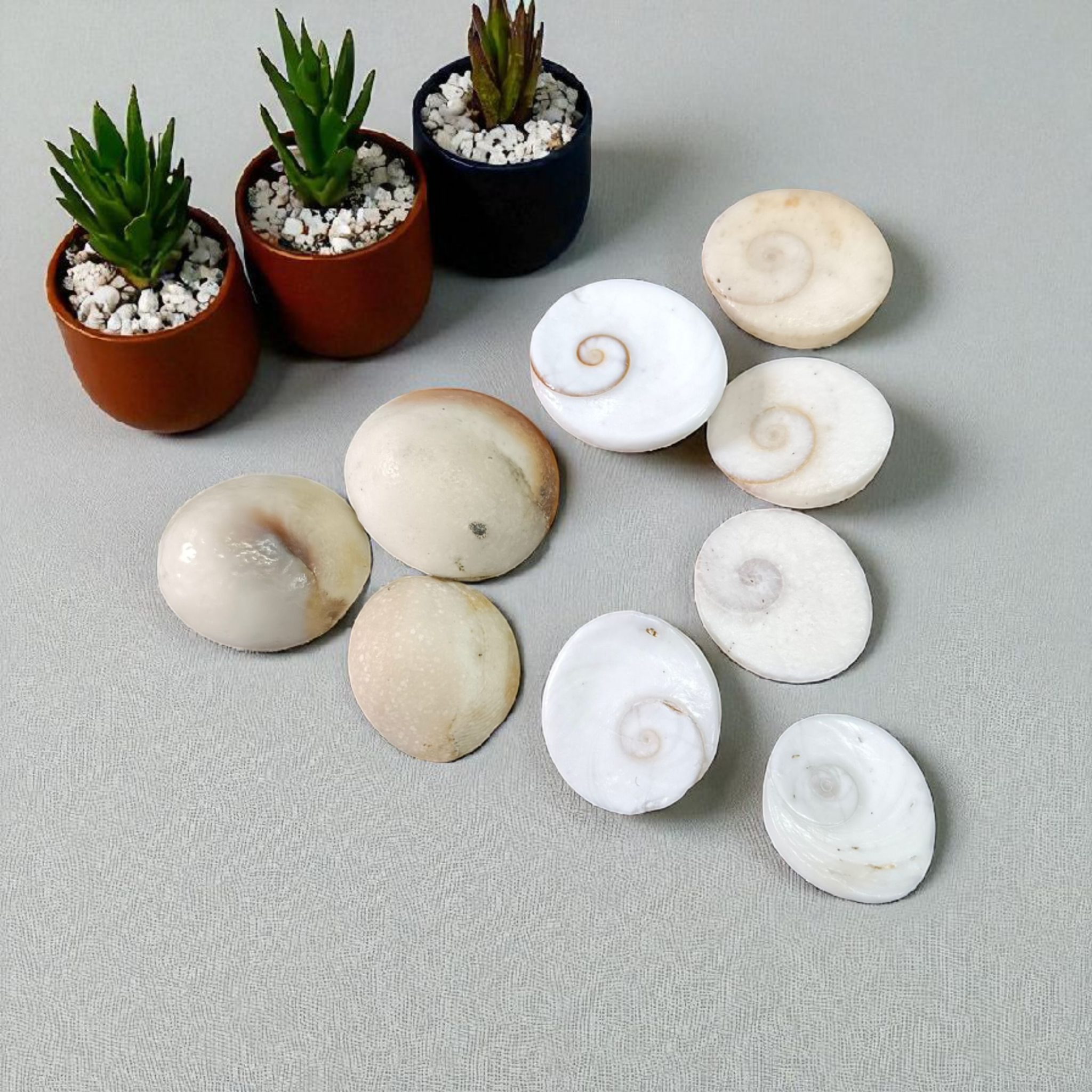 Set of 9 Gomati Chakras, sacred stones for spiritual protection, prosperity, and divine blessings