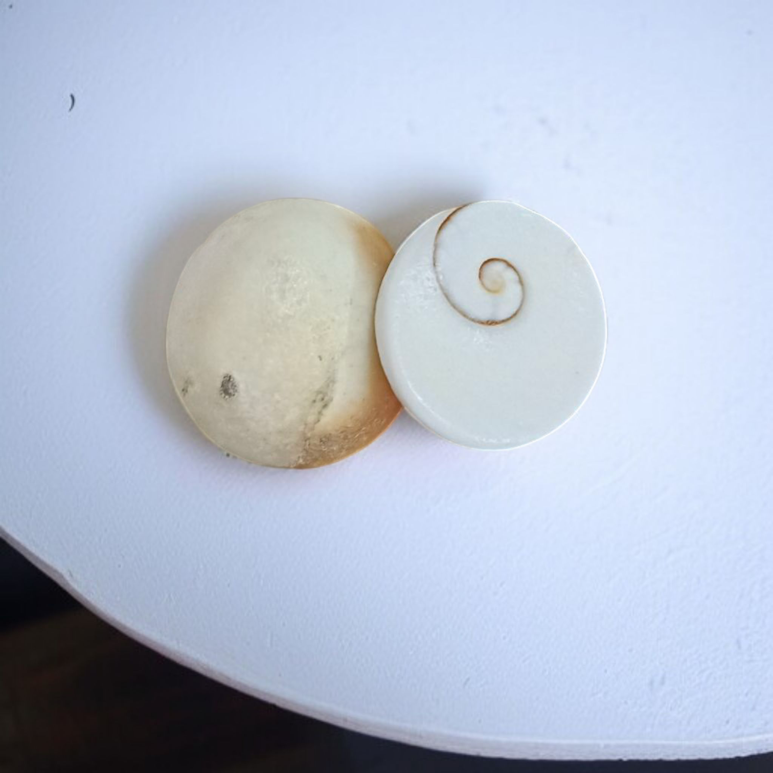 Set of 9 Gomati Chakras, sacred stones for spiritual protection, prosperity, and divine blessings