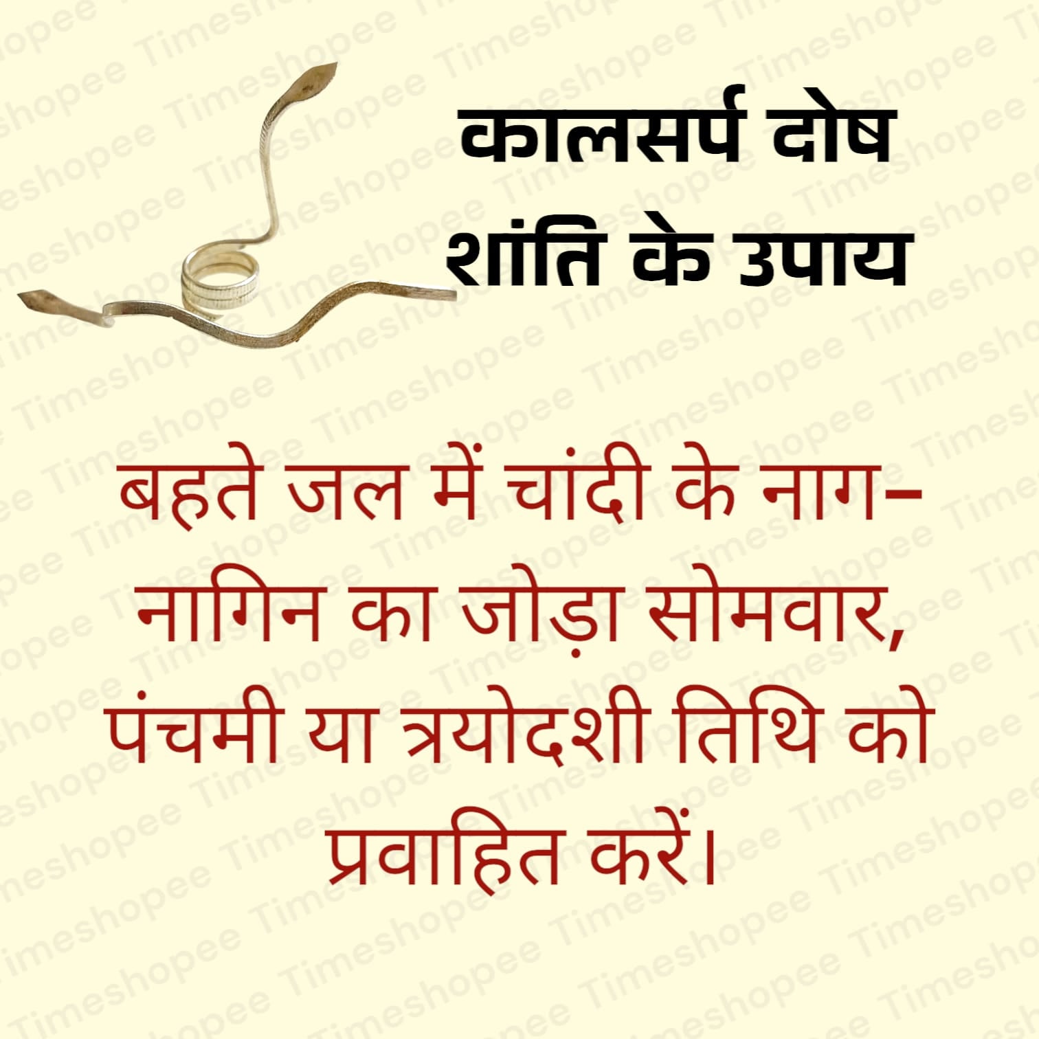 Silver-Plated Nag Nagin Joda Pair for Kal Sarp Dosha Remedies by Timeshopee