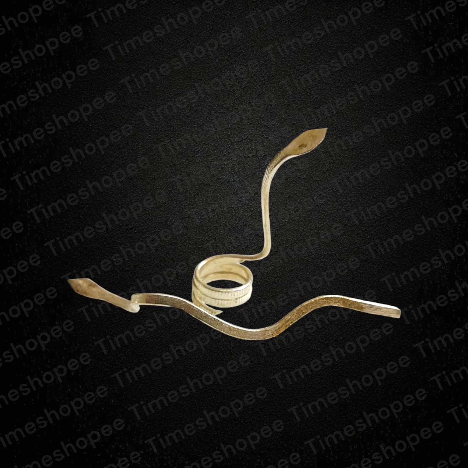 Silver-Plated Nag Nagin Joda Pair for Kal Sarp Dosha Remedies by Timeshopee